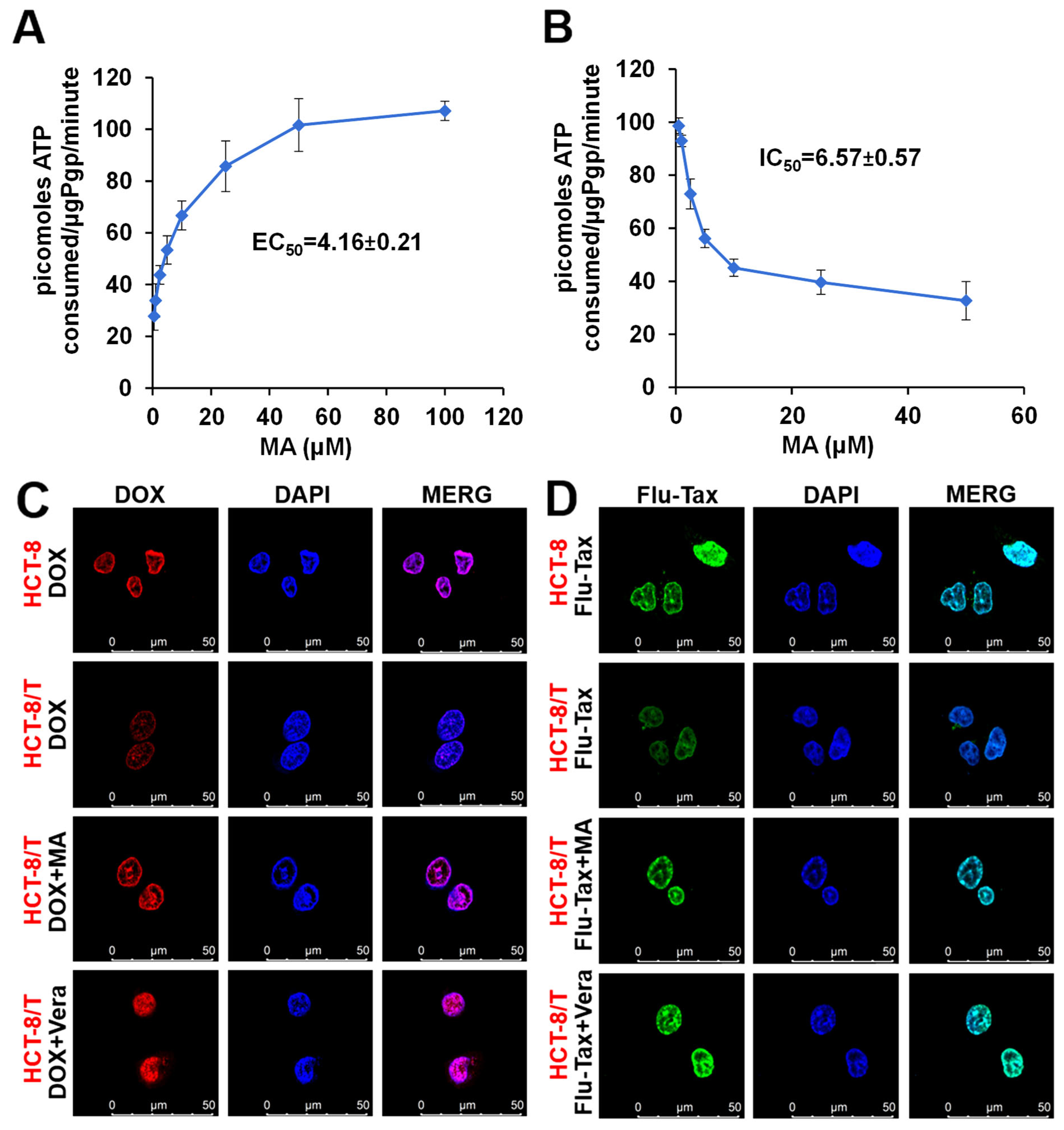 Cancers 17 03289 g003
