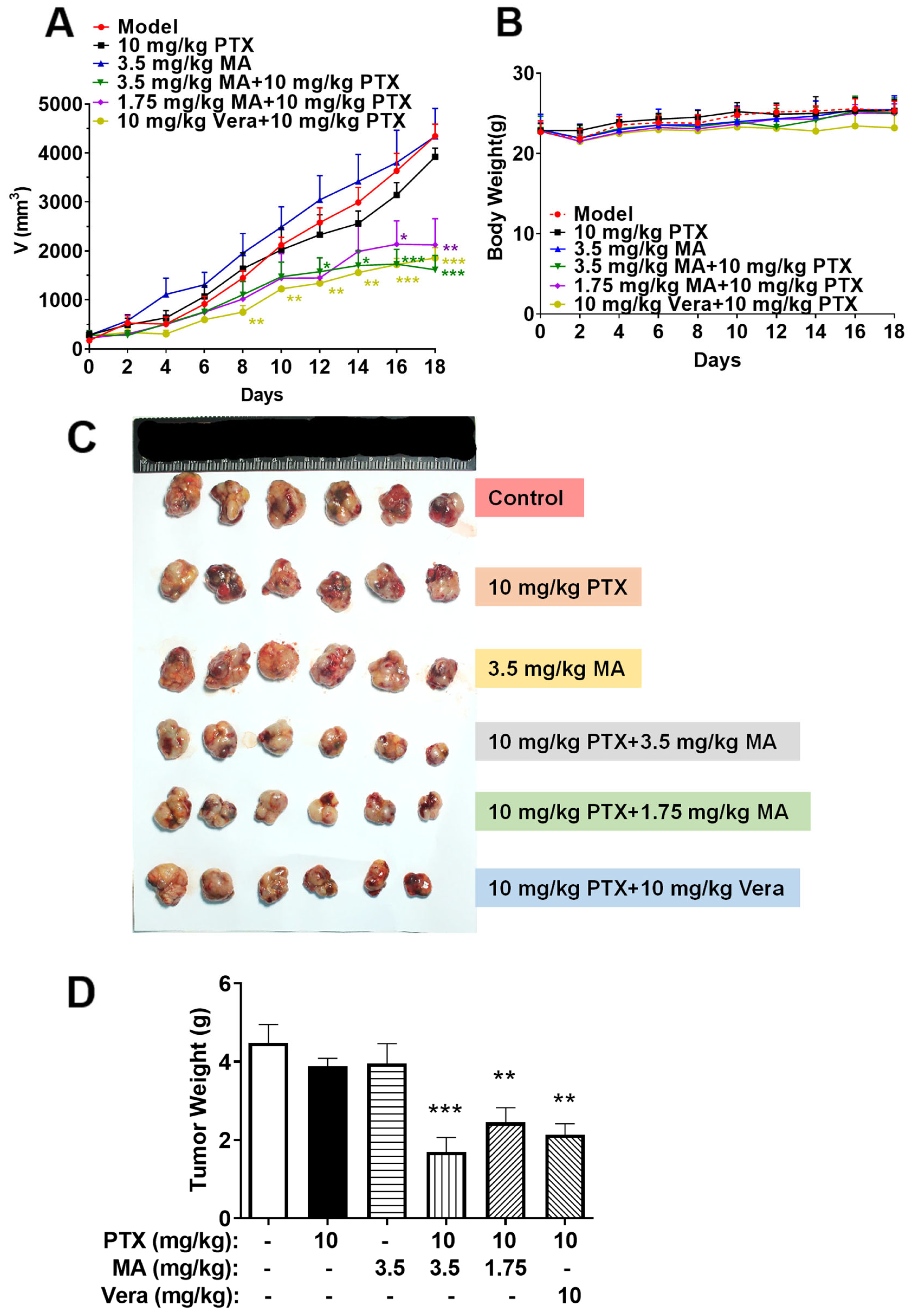 Cancers 17 03289 g004