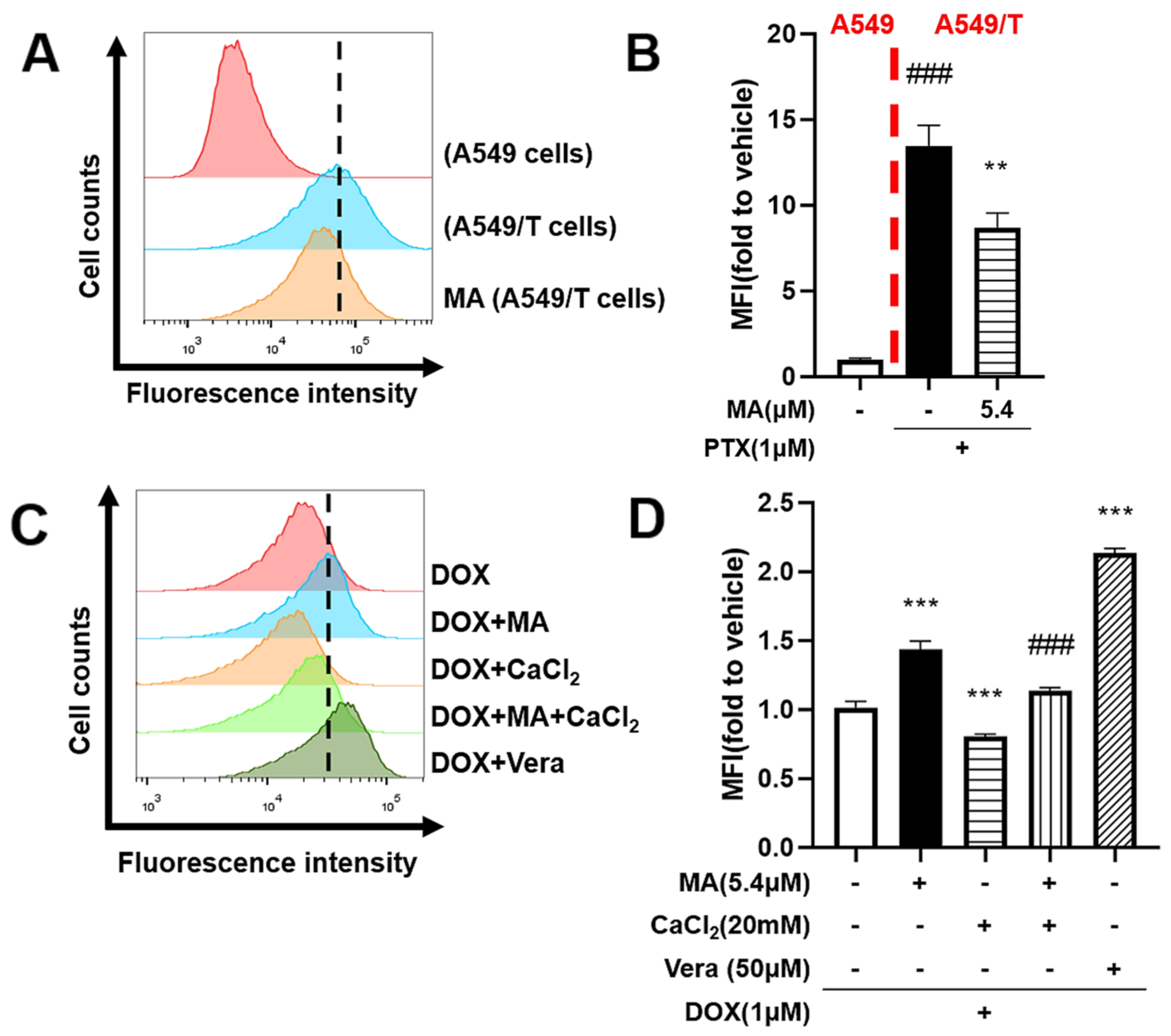 Cancers 17 03289 g005