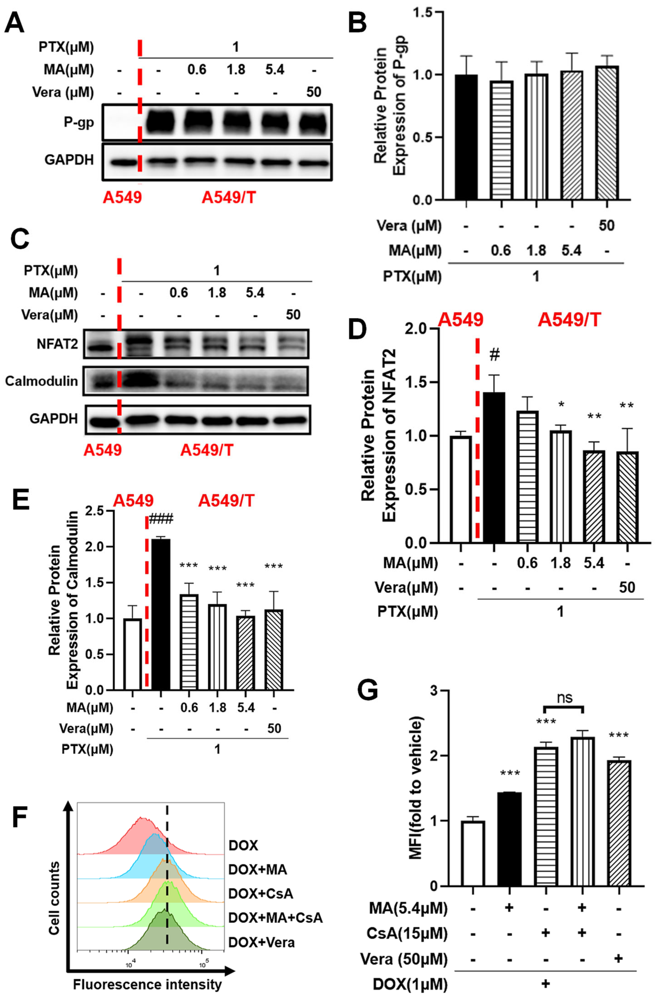 Cancers 17 03289 g006