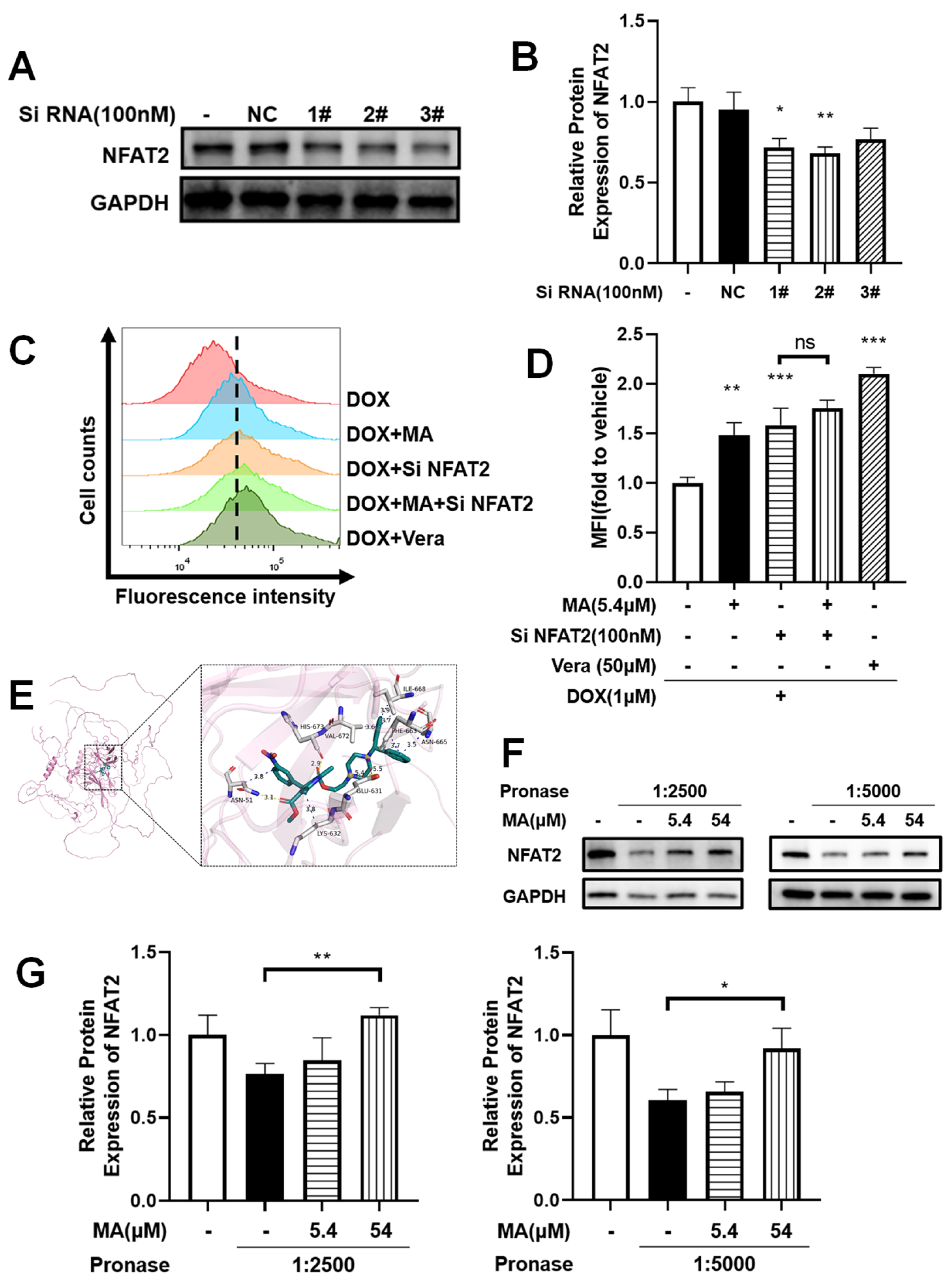 Cancers 17 03289 g007