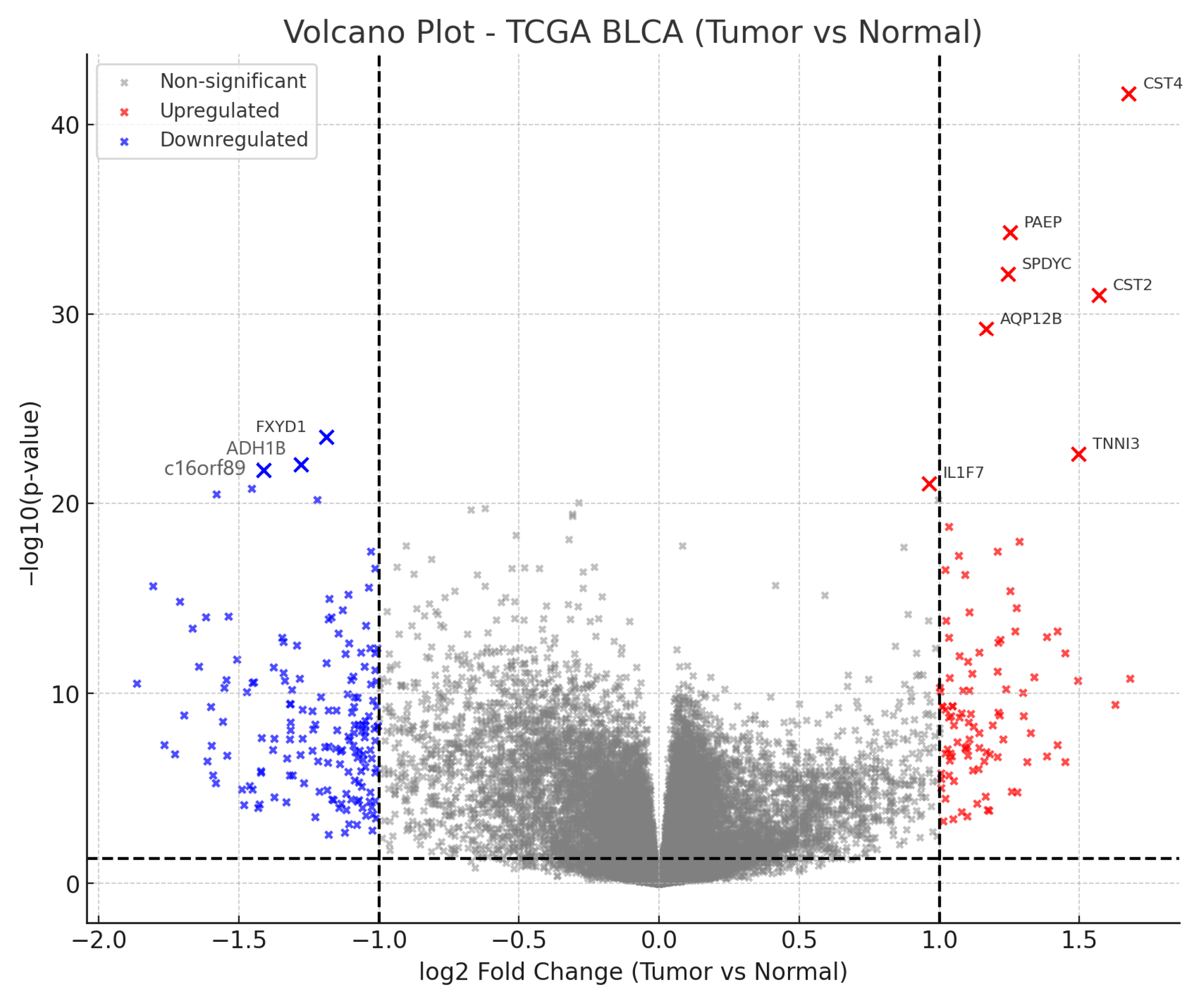 Cancers 17 03291 g001