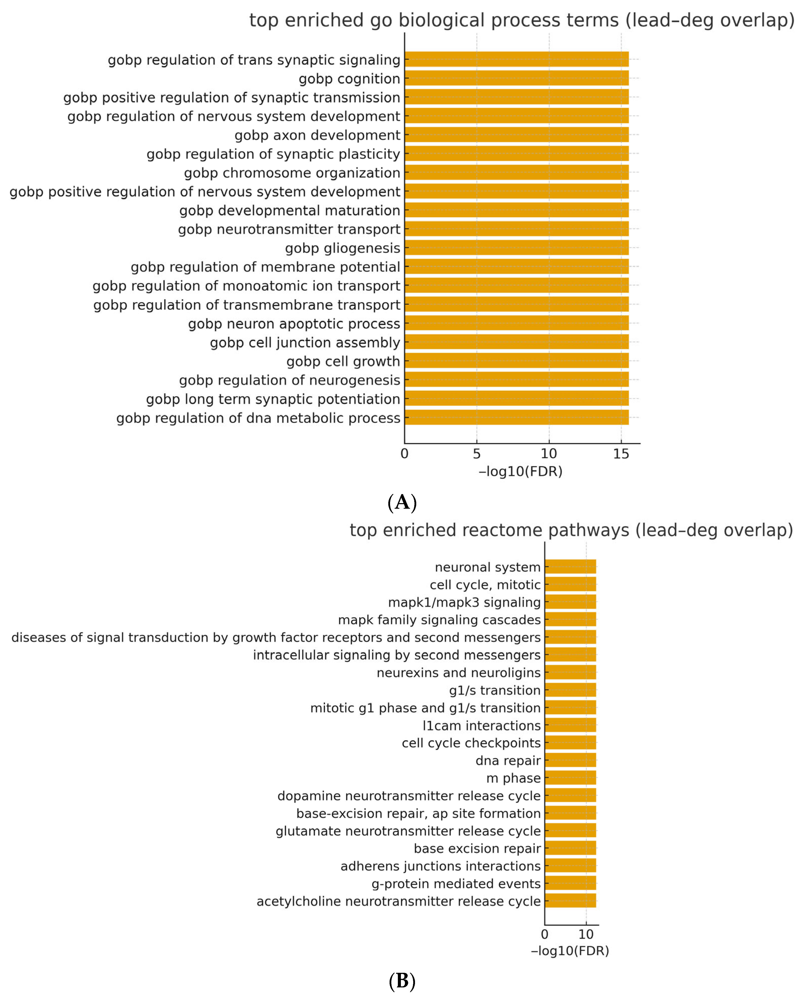 Cancers 17 03291 g005