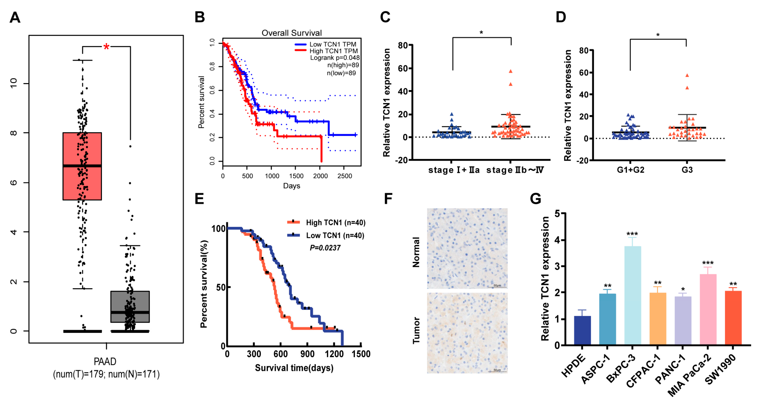 Cancers 17 03300 g001