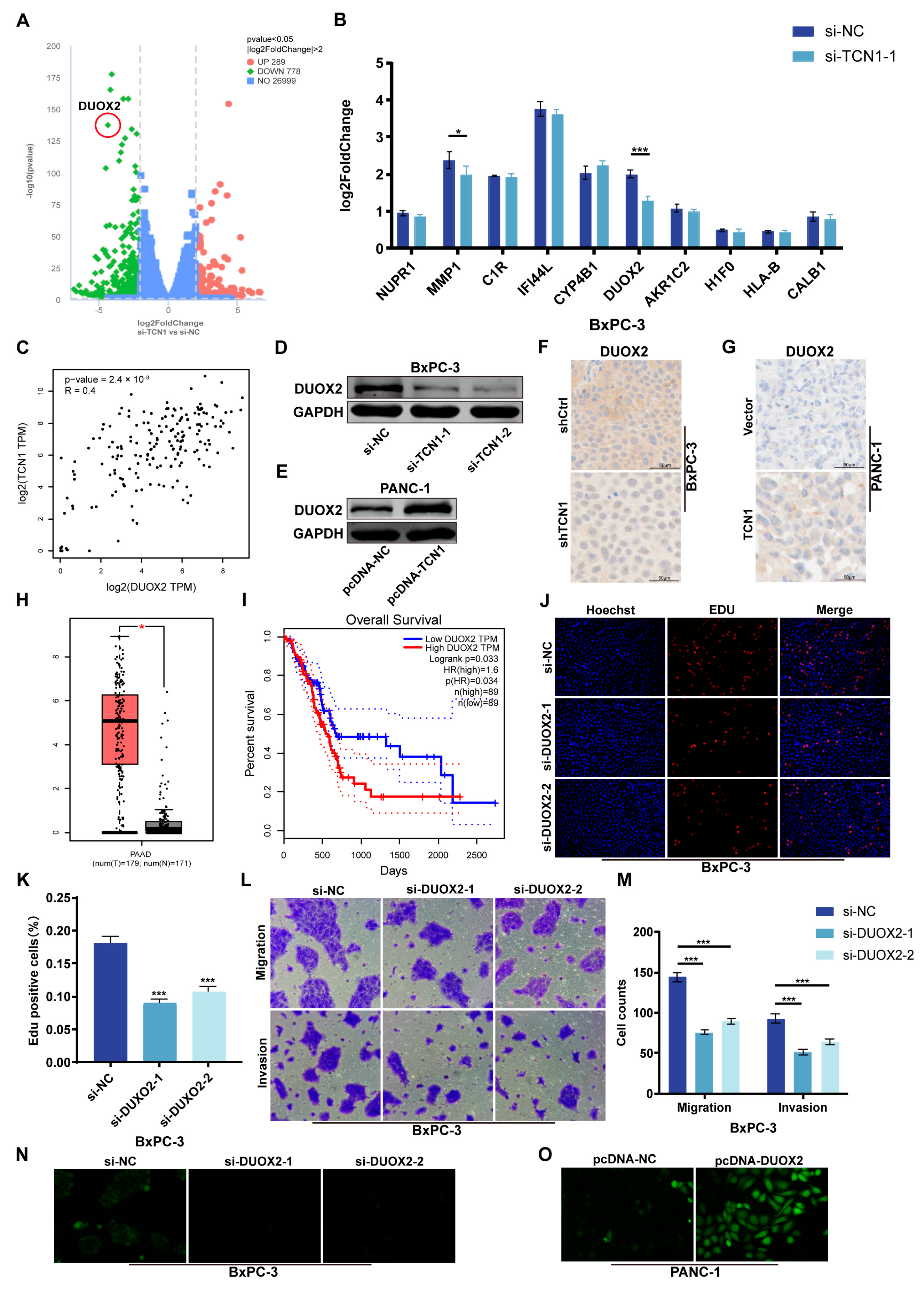 Cancers 17 03300 g004