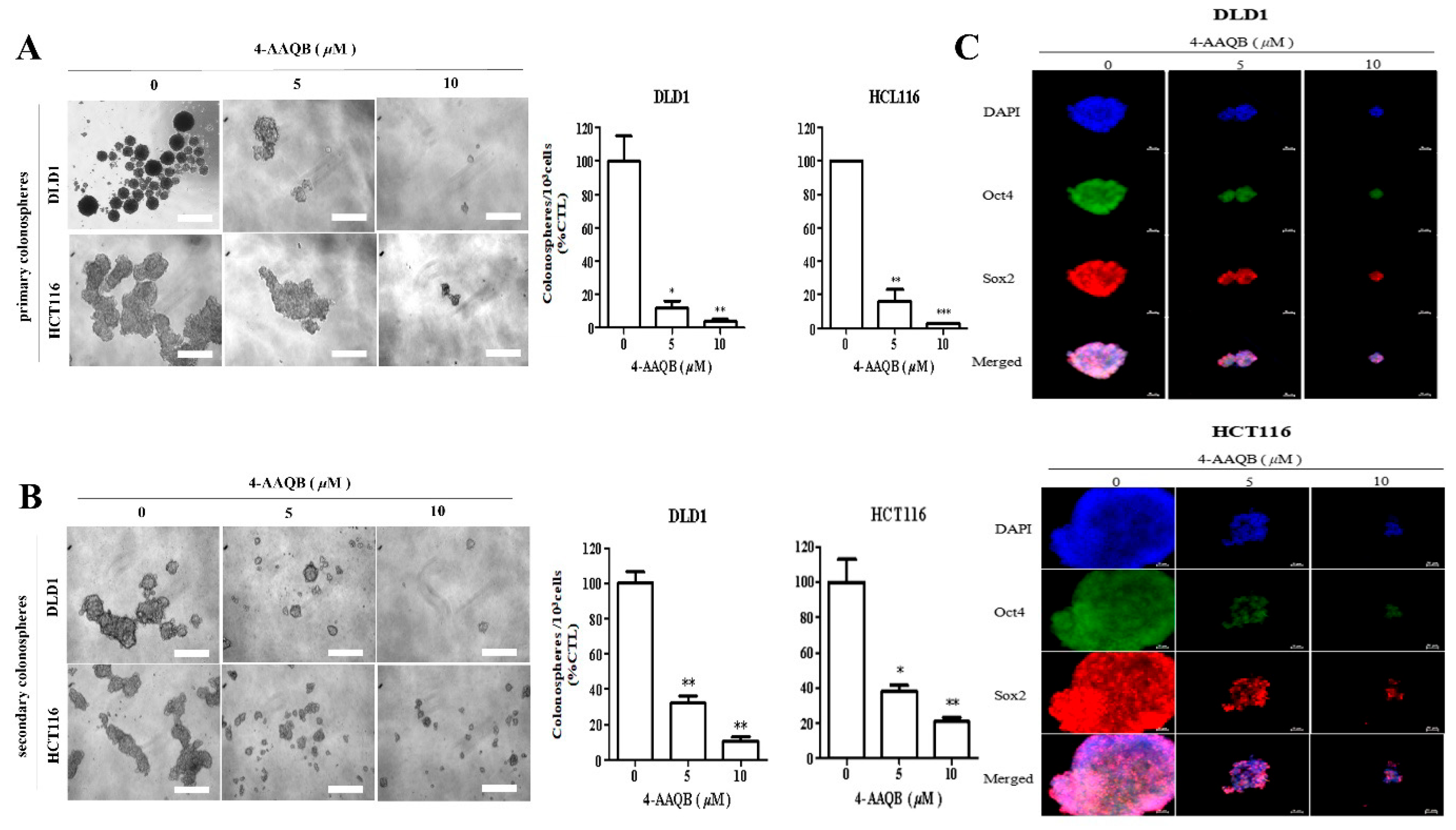 Cancers 17 03304 g007