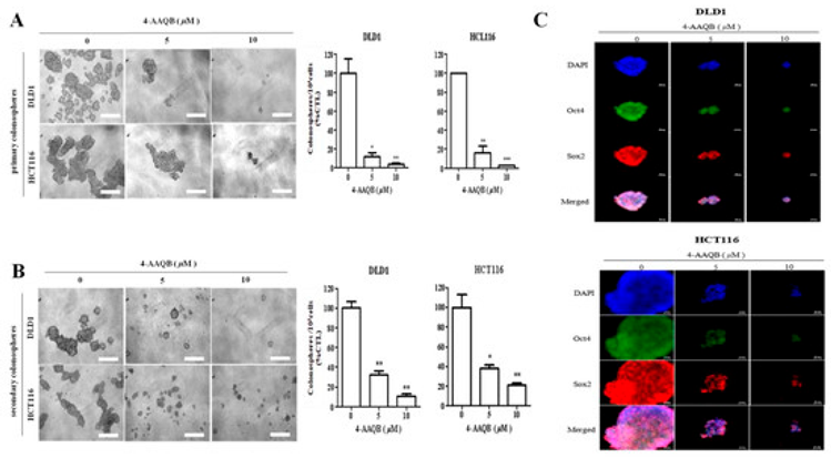 Cancers 17 03304 i001