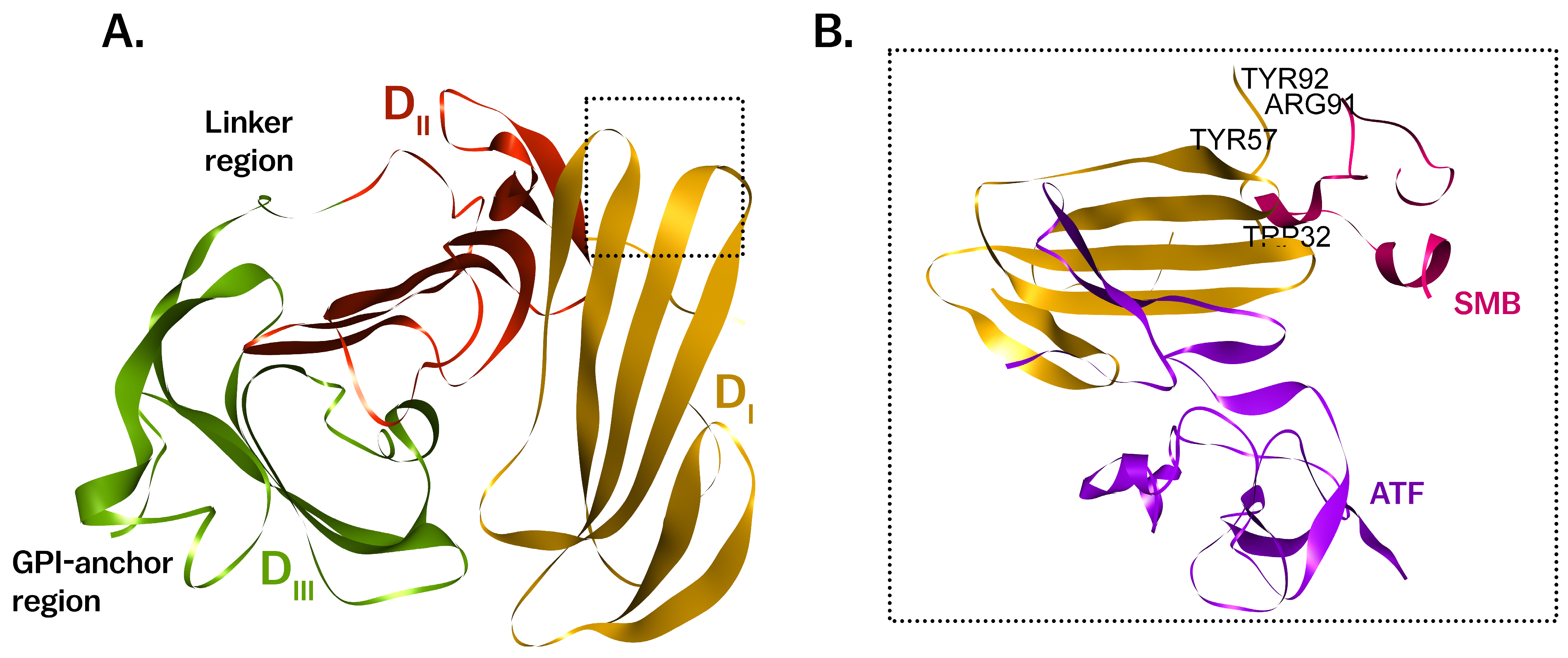 Cancers 17 03309 g001 Cancers 17 03309 g001