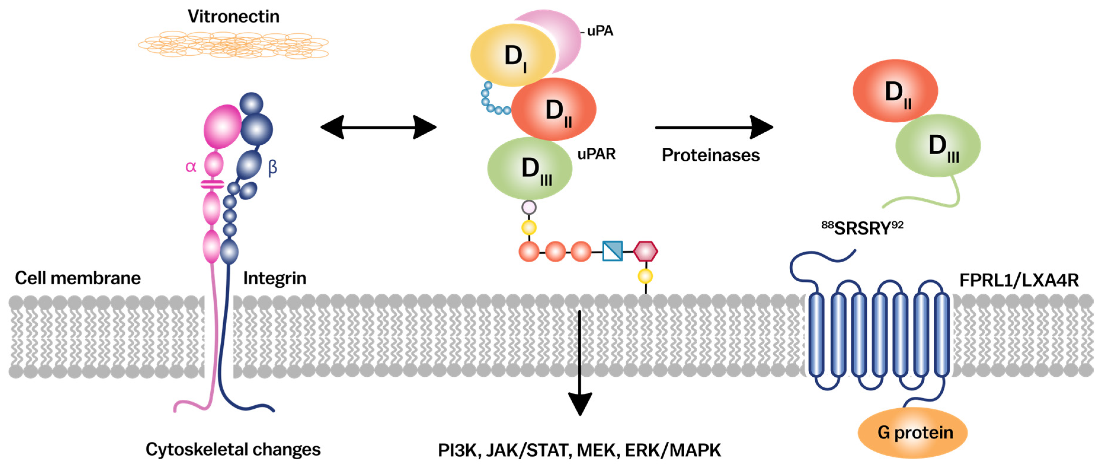 Cancers 17 03309 g003 Cancers 17 03309 g003