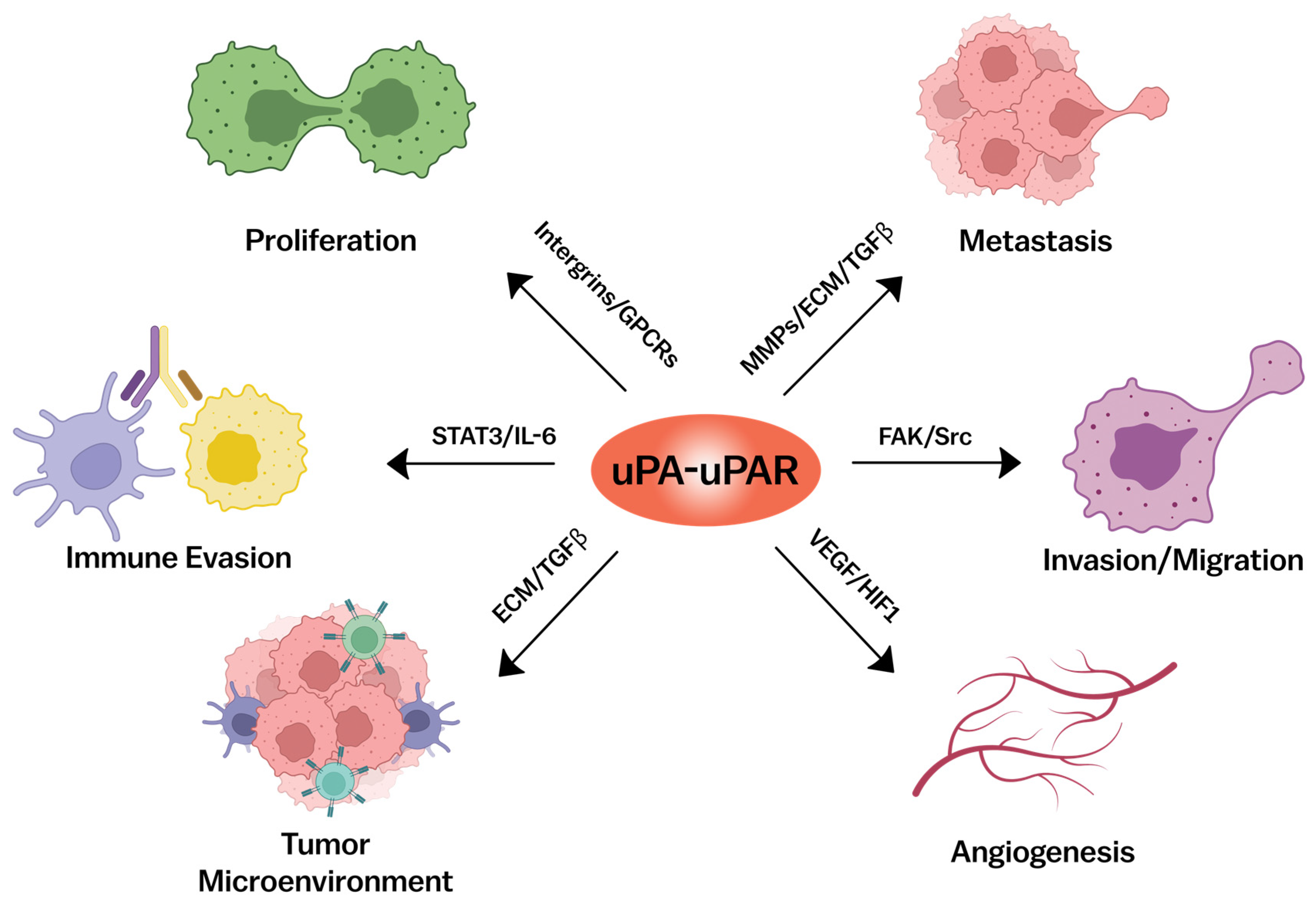 Cancers 17 03309 g004 Cancers 17 03309 g004