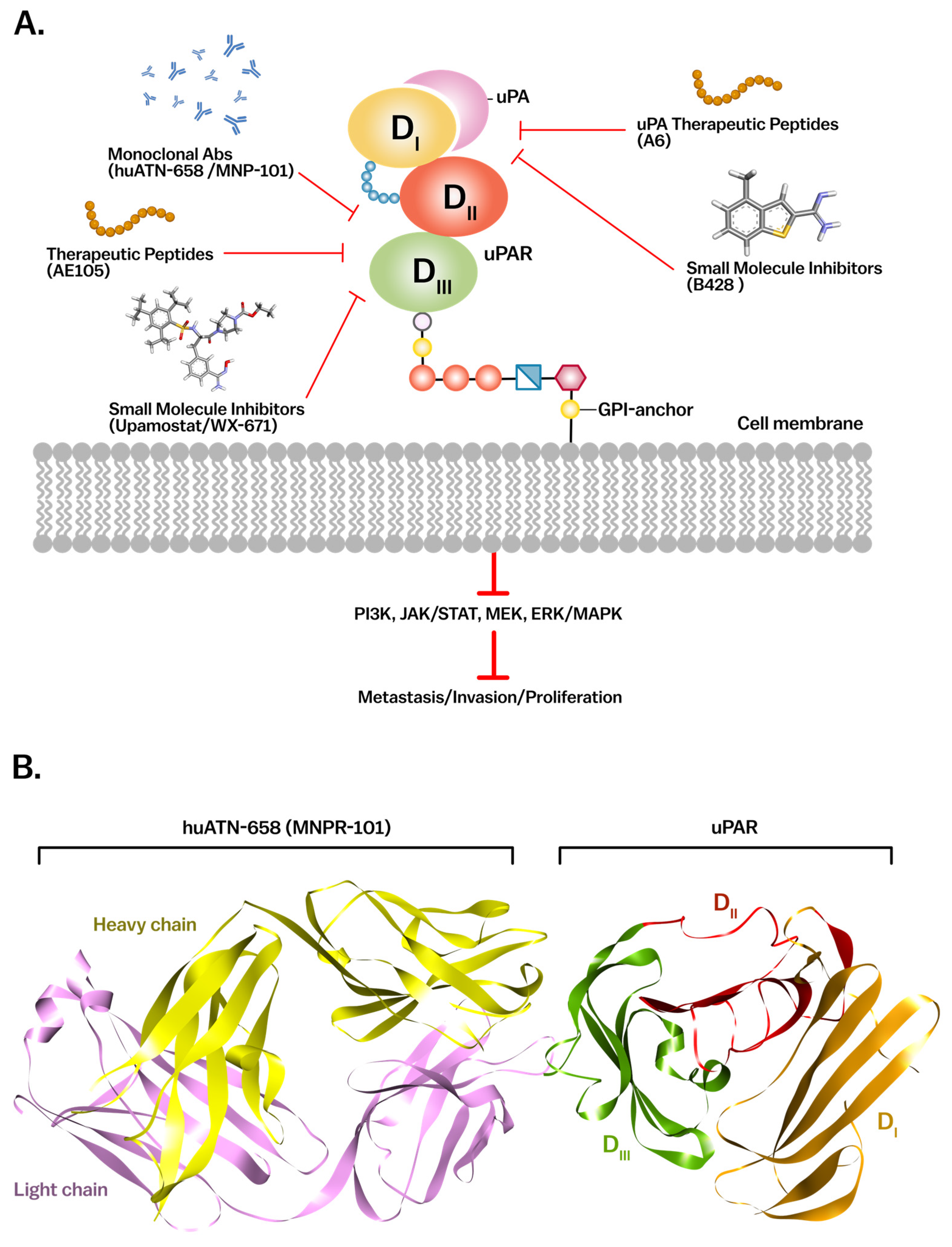 Cancers 17 03309 g005 Cancers 17 03309 g005