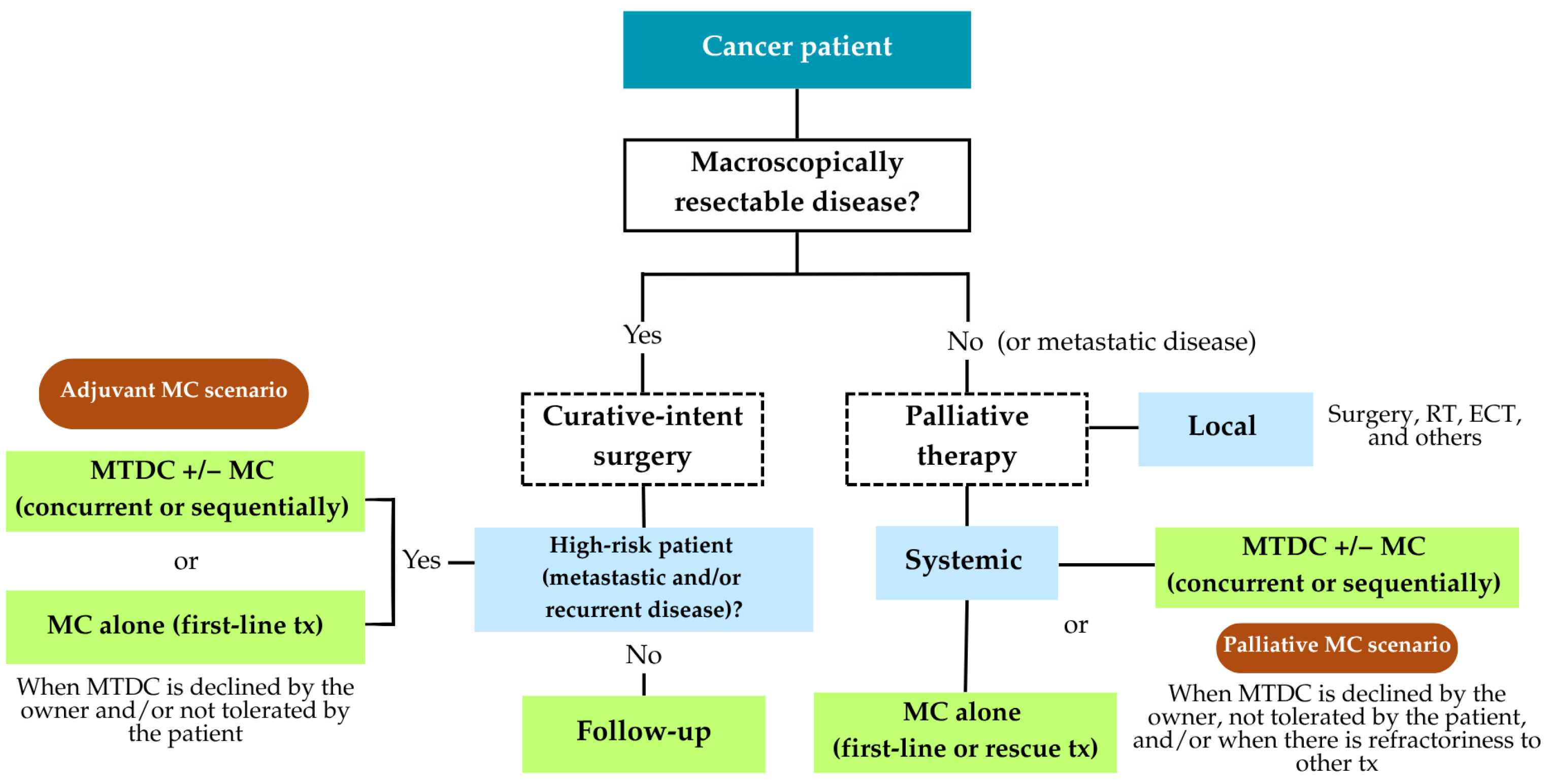 Cancers 17 03318 sch002 Cancers 17 03318 sch002