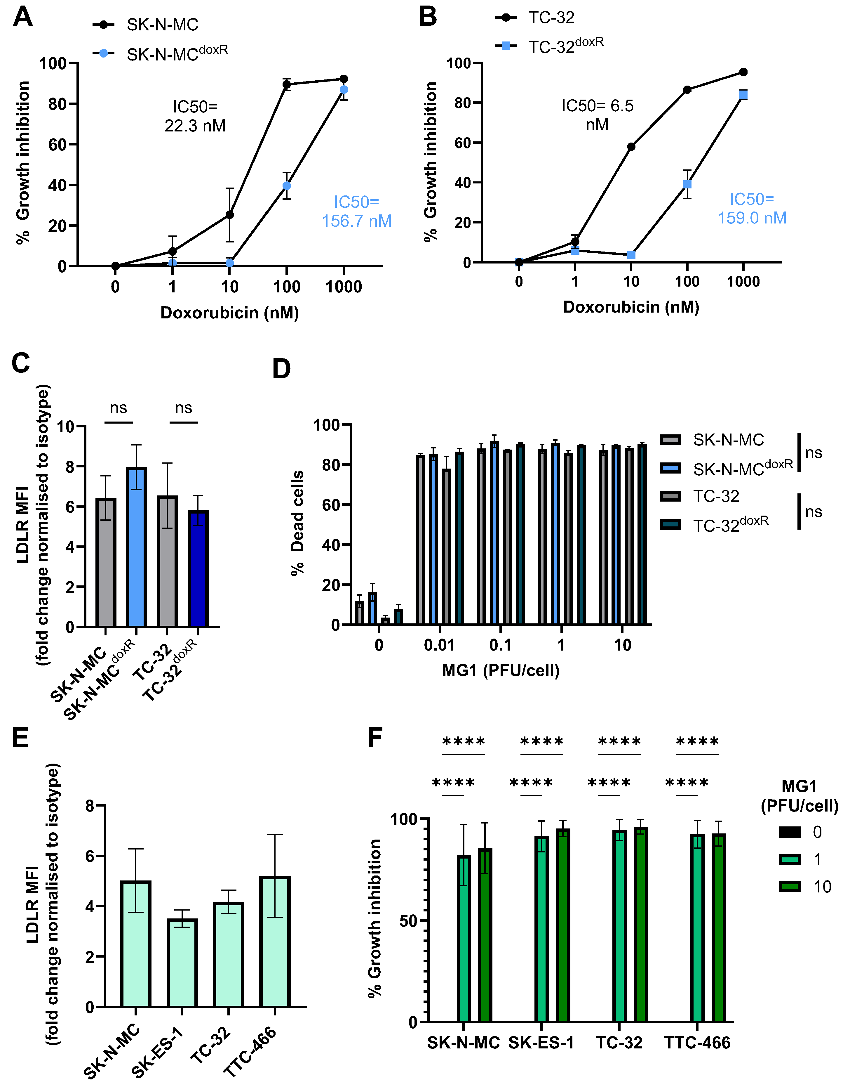 Cancers 17 03319 g002