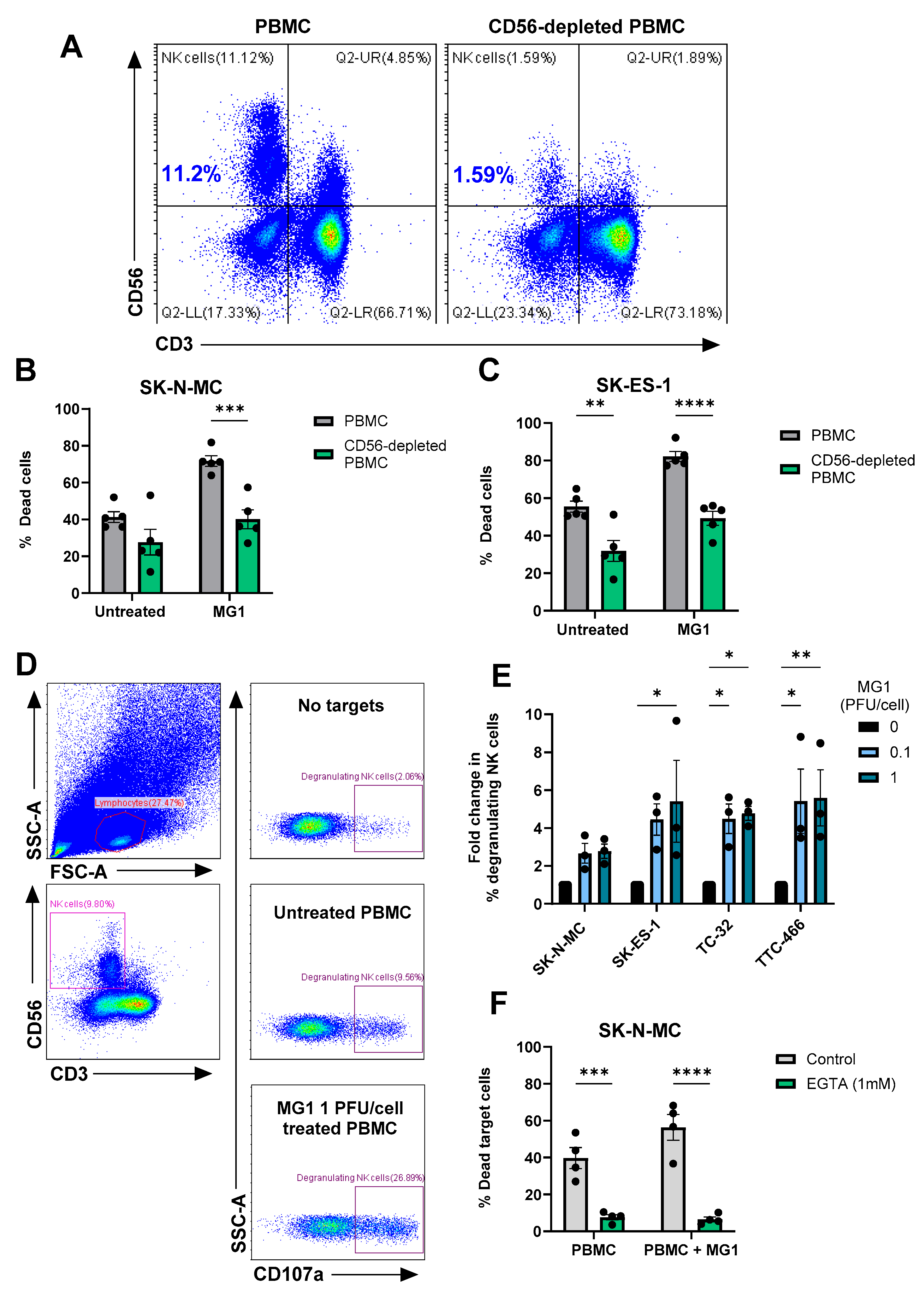 Cancers 17 03319 g005