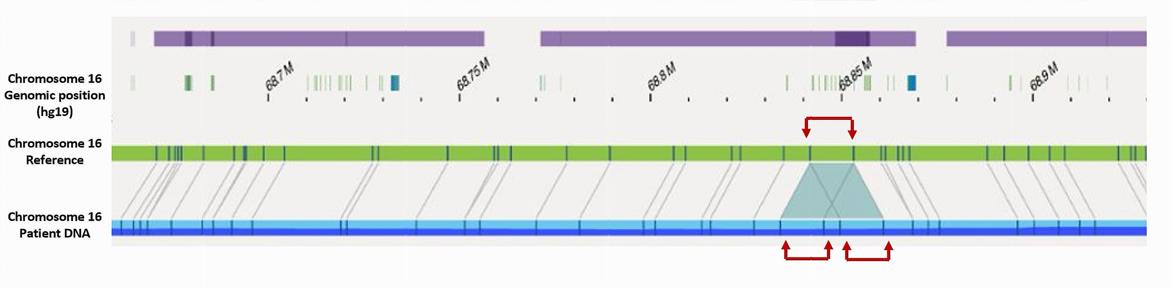 Cancers 17 03320 g003 Cancers 17 03320 g003