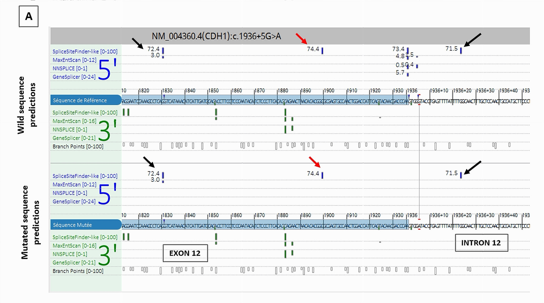 Cancers 17 03320 g005a Cancers 17 03320 g005a