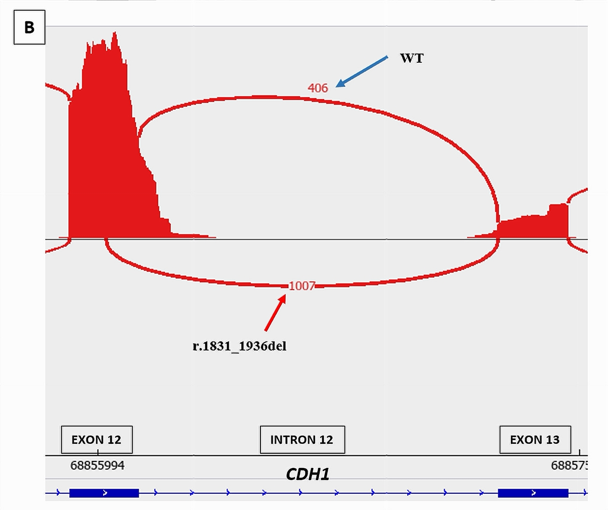 Cancers 17 03320 g005b Cancers 17 03320 g005b