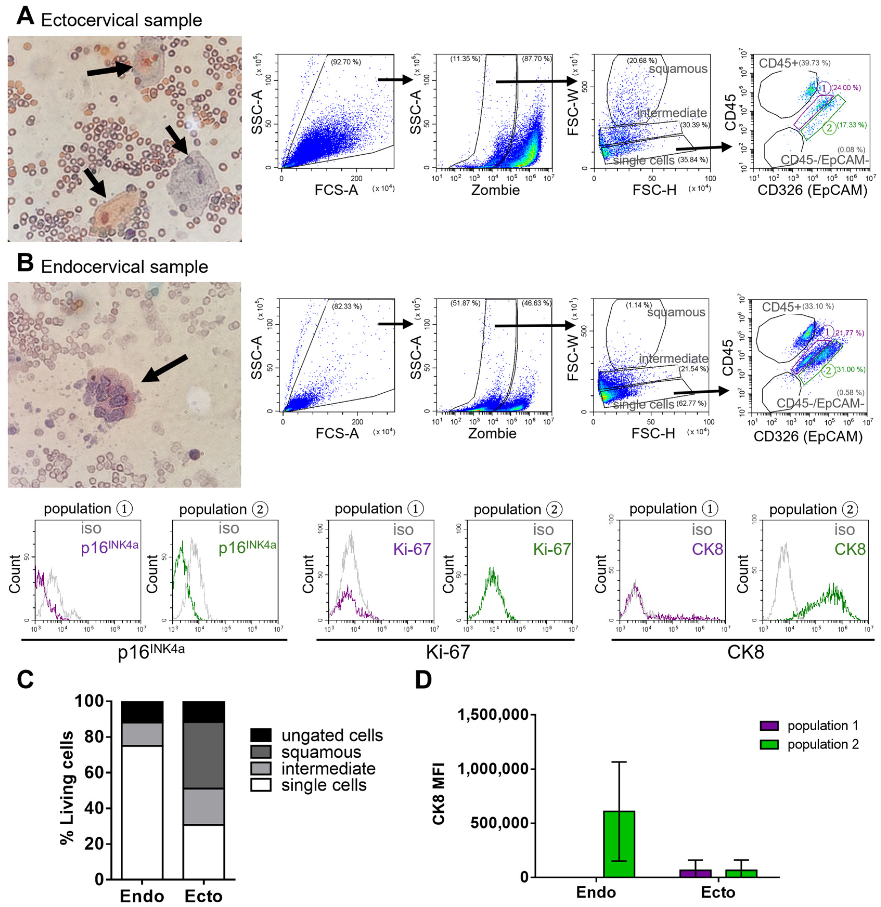 Cancers 17 03328 g002