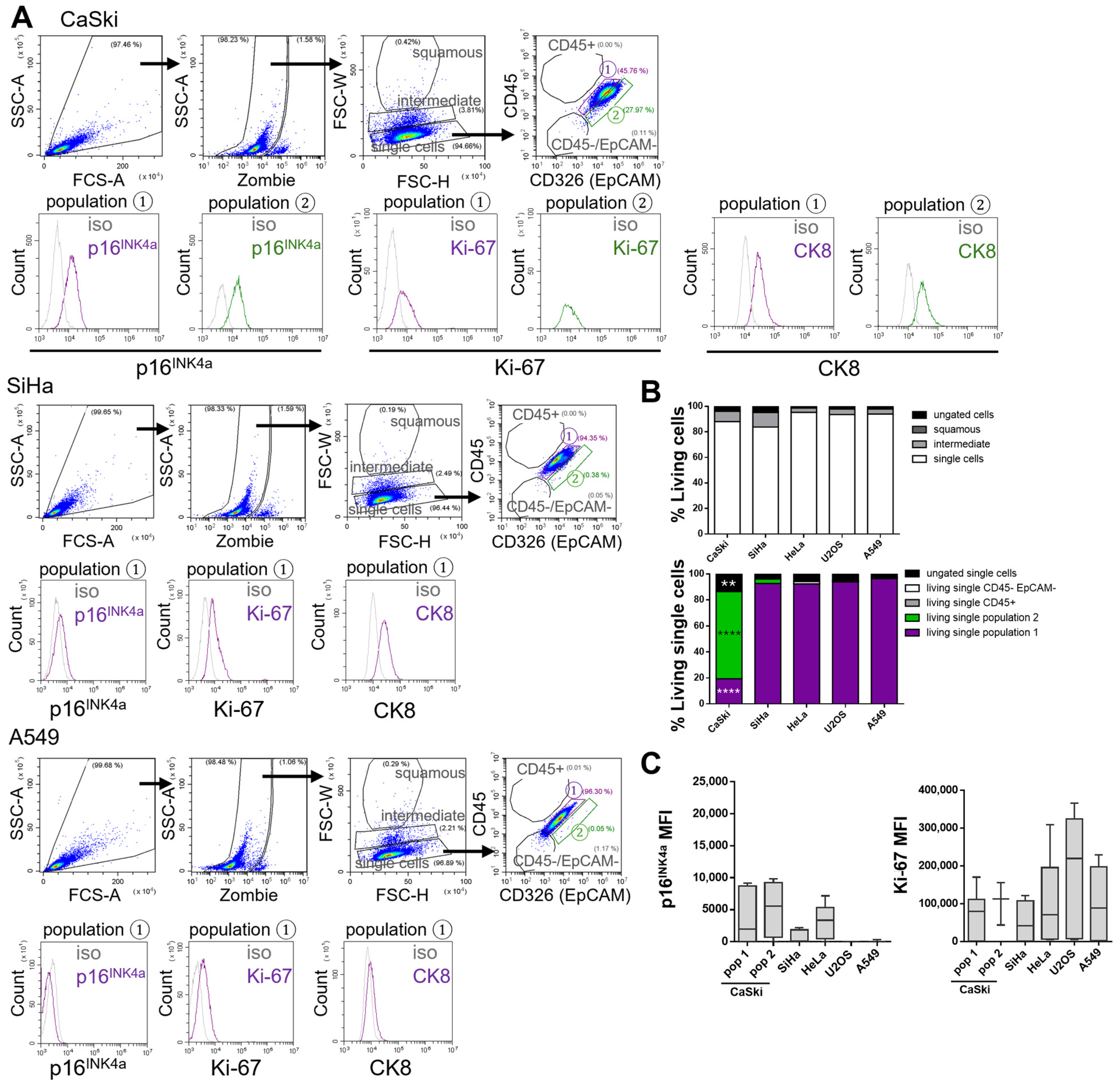 Cancers 17 03328 g003