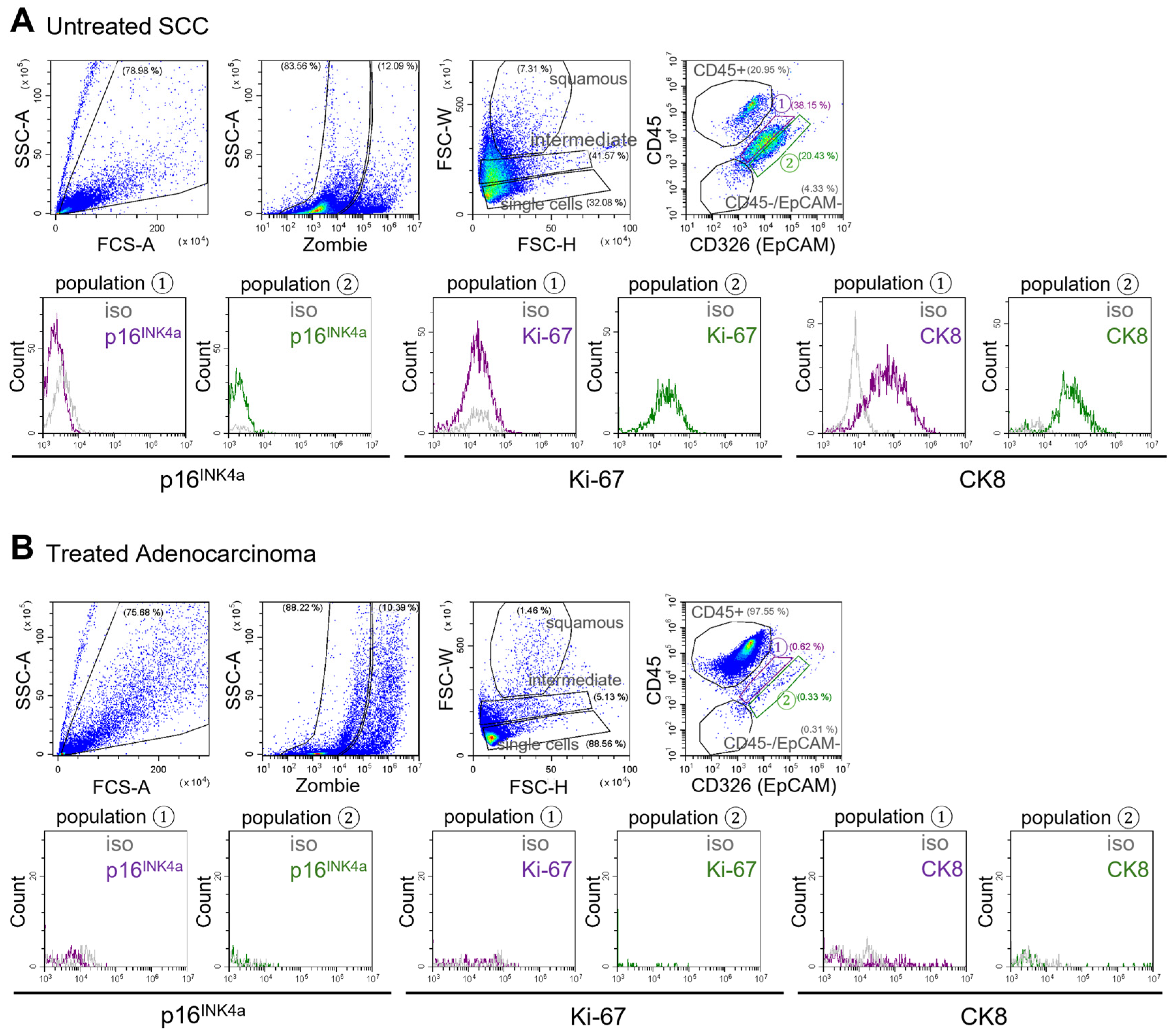 Cancers 17 03328 g004