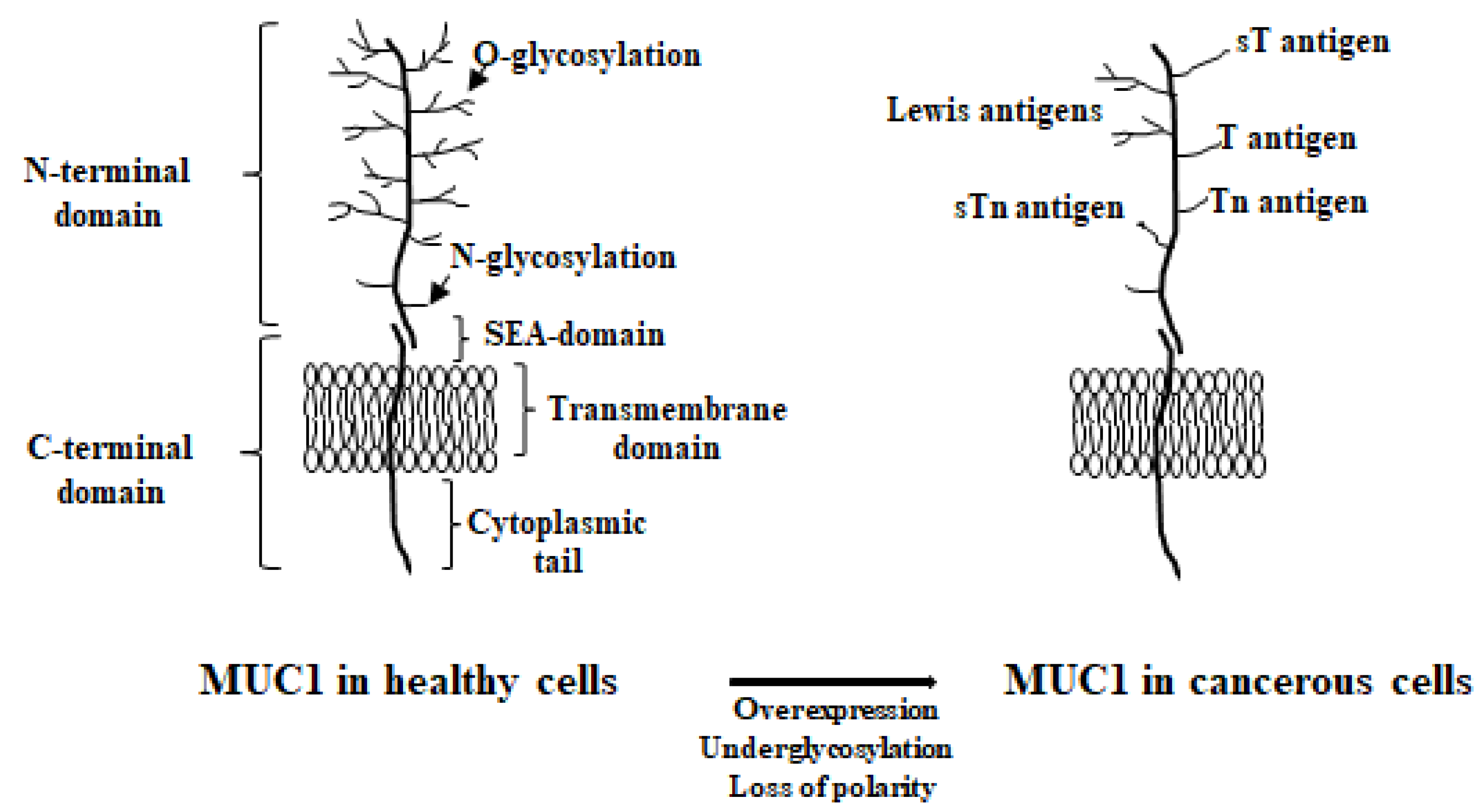 Cancers 17 03331 g001
