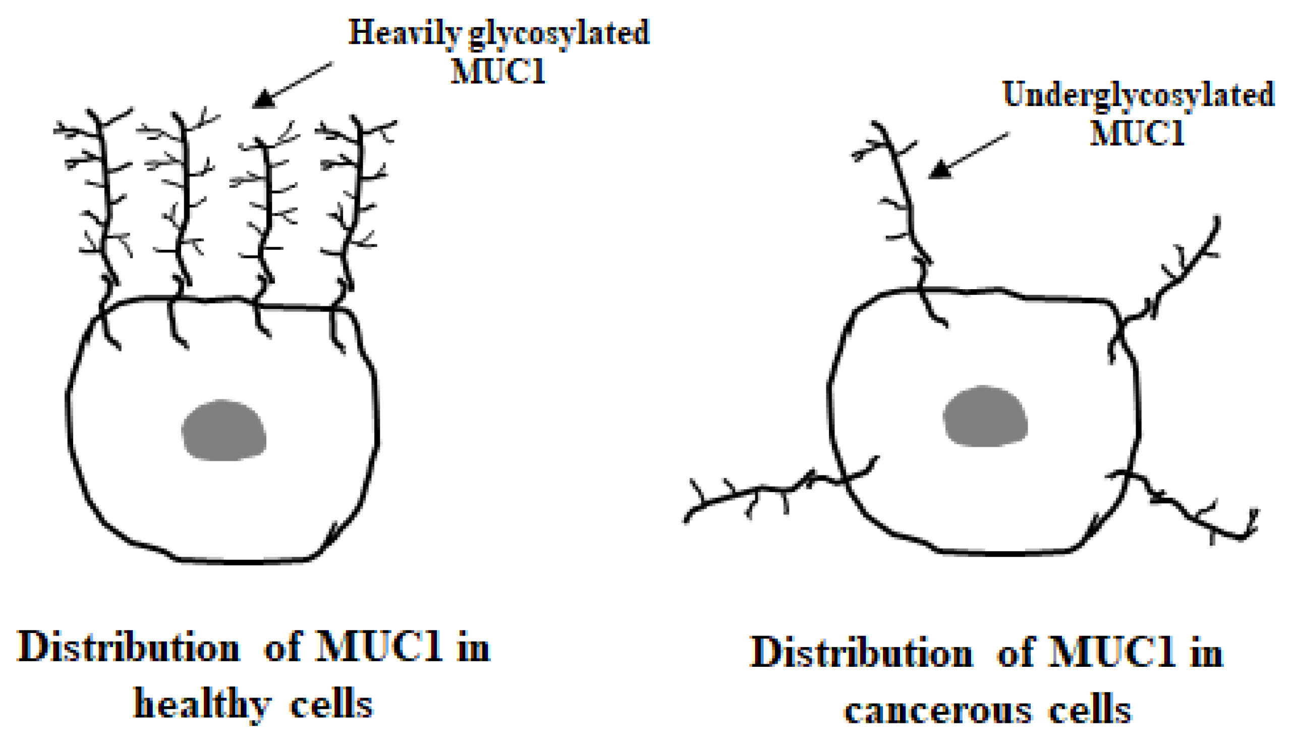 Cancers 17 03331 g002