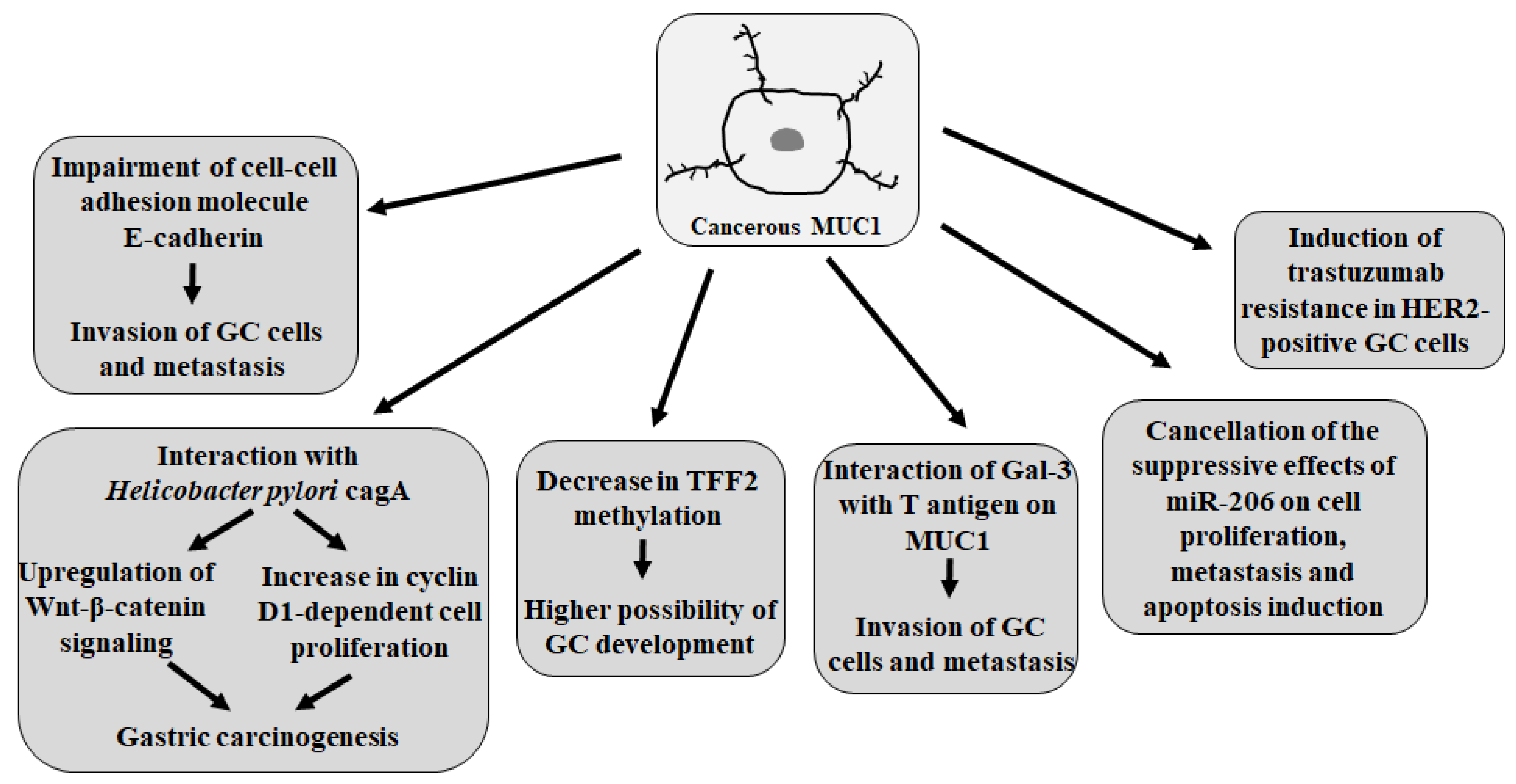 Cancers 17 03331 g003