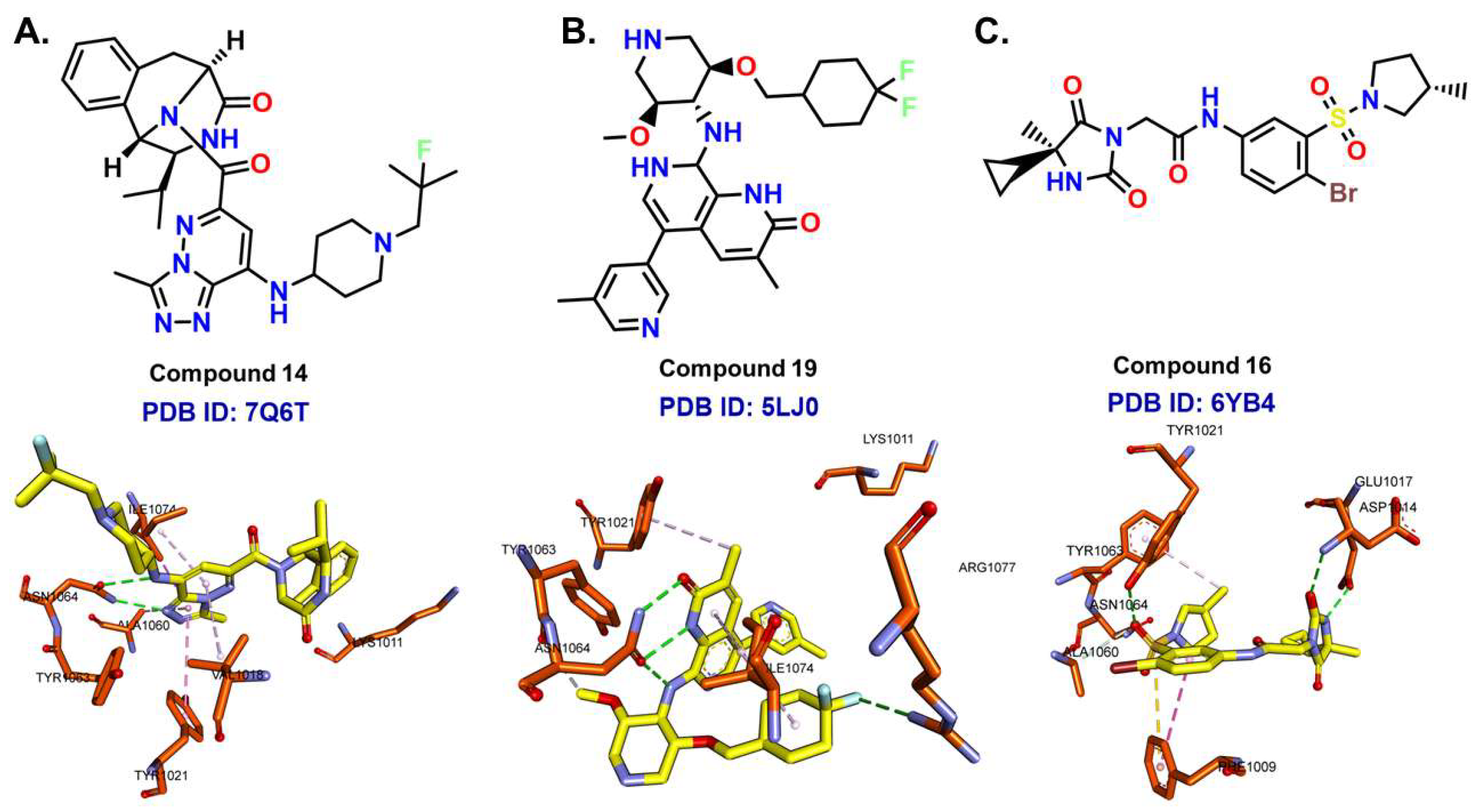 Cancers 17 03337 g010 Cancers 17 03337 g010