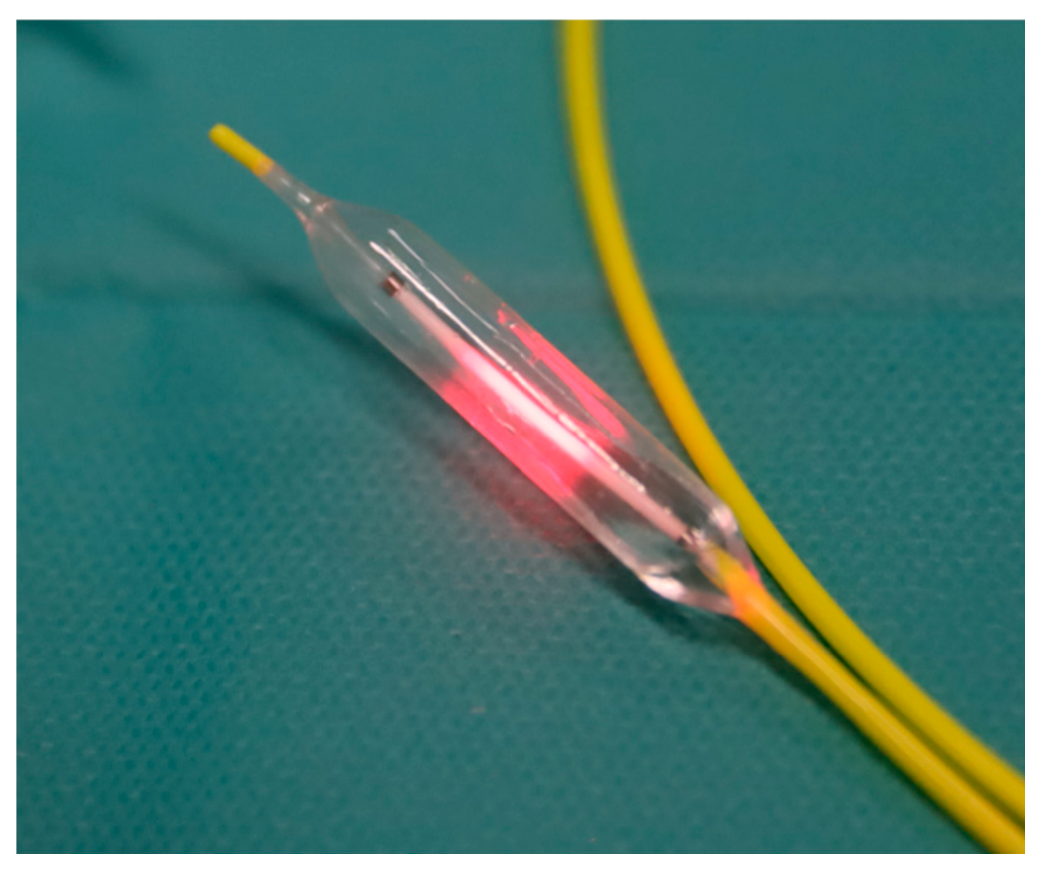 Cancers 17 03340 g001