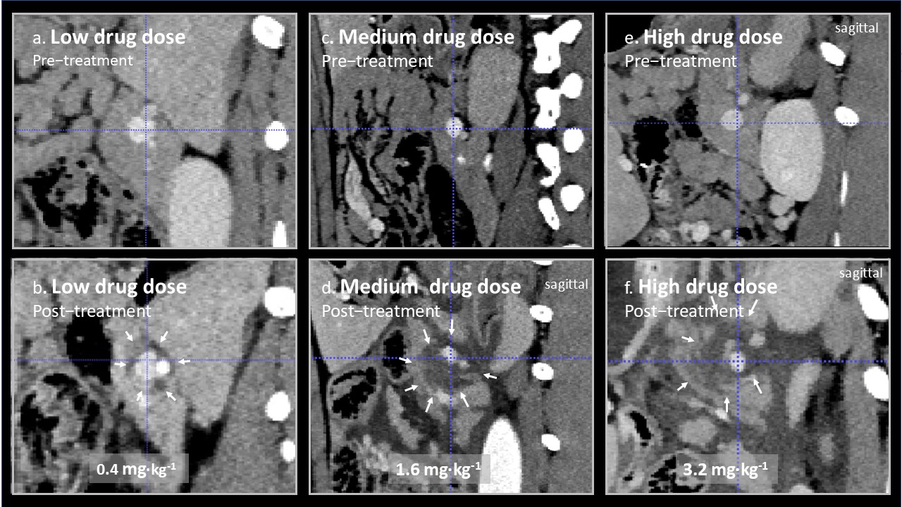 Cancers 17 03340 g002