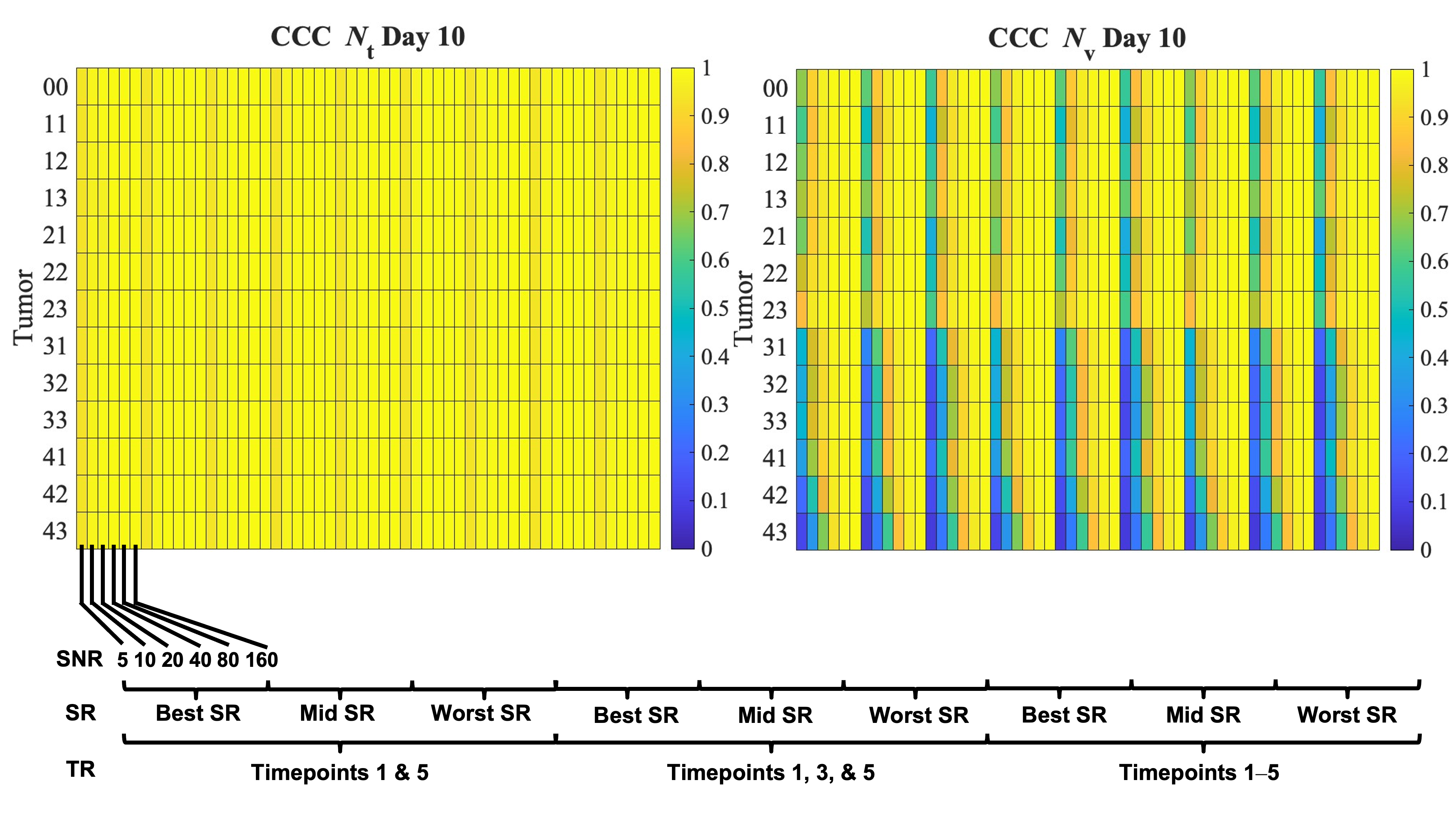Cancers 17 03361 g007 Cancers 17 03361 g007
