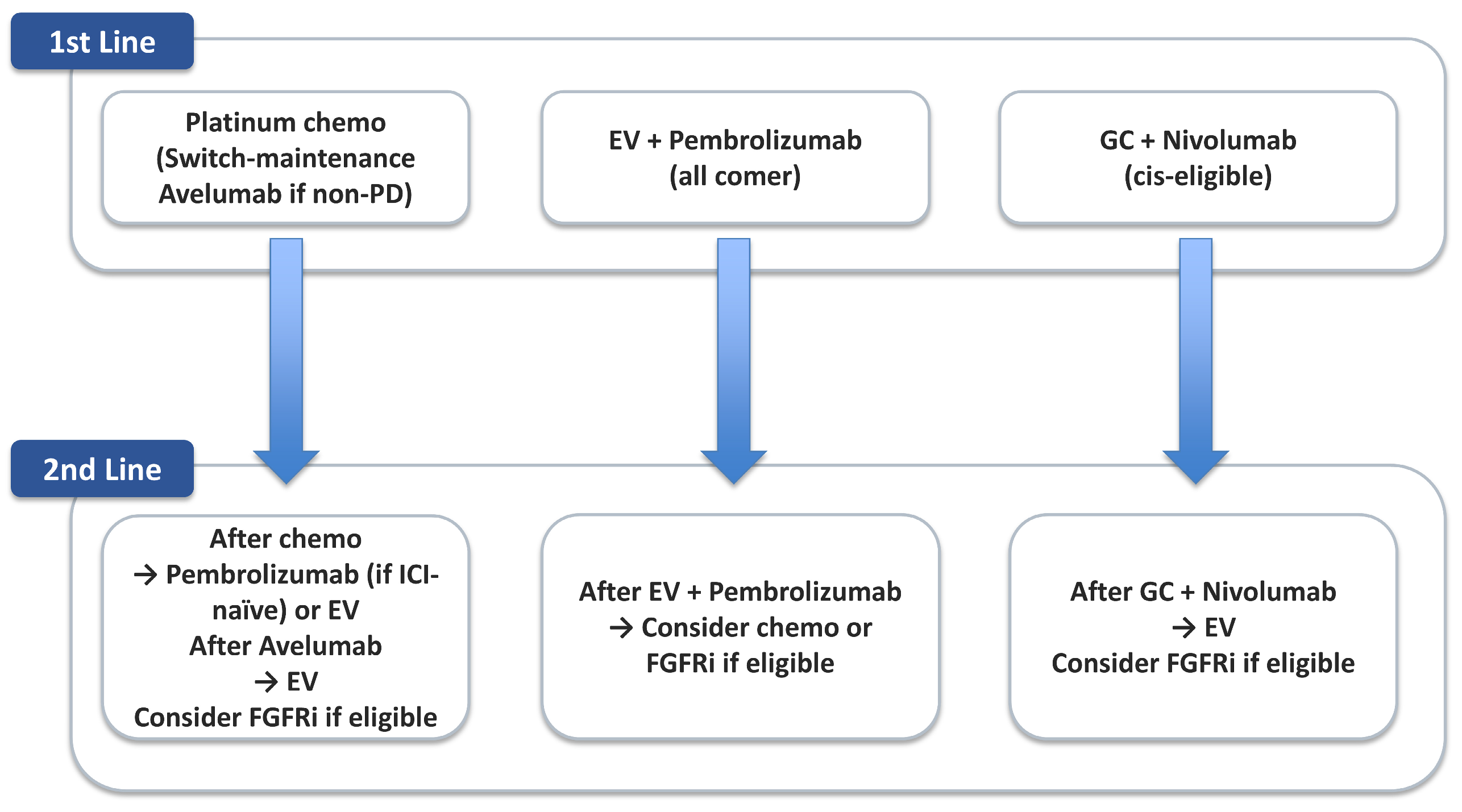 Cancers 17 03367 g002