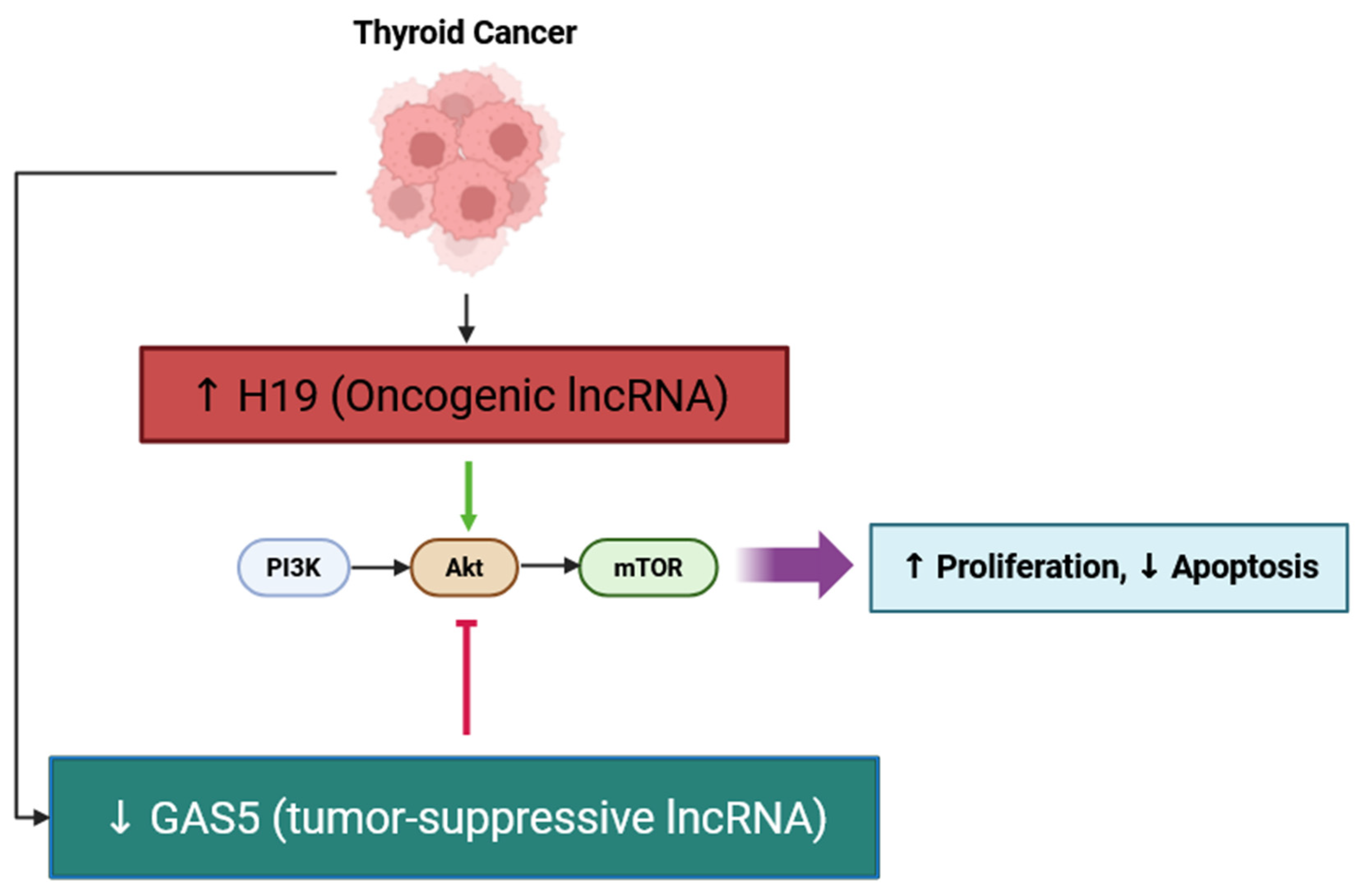 Cancers 17 03373 g001