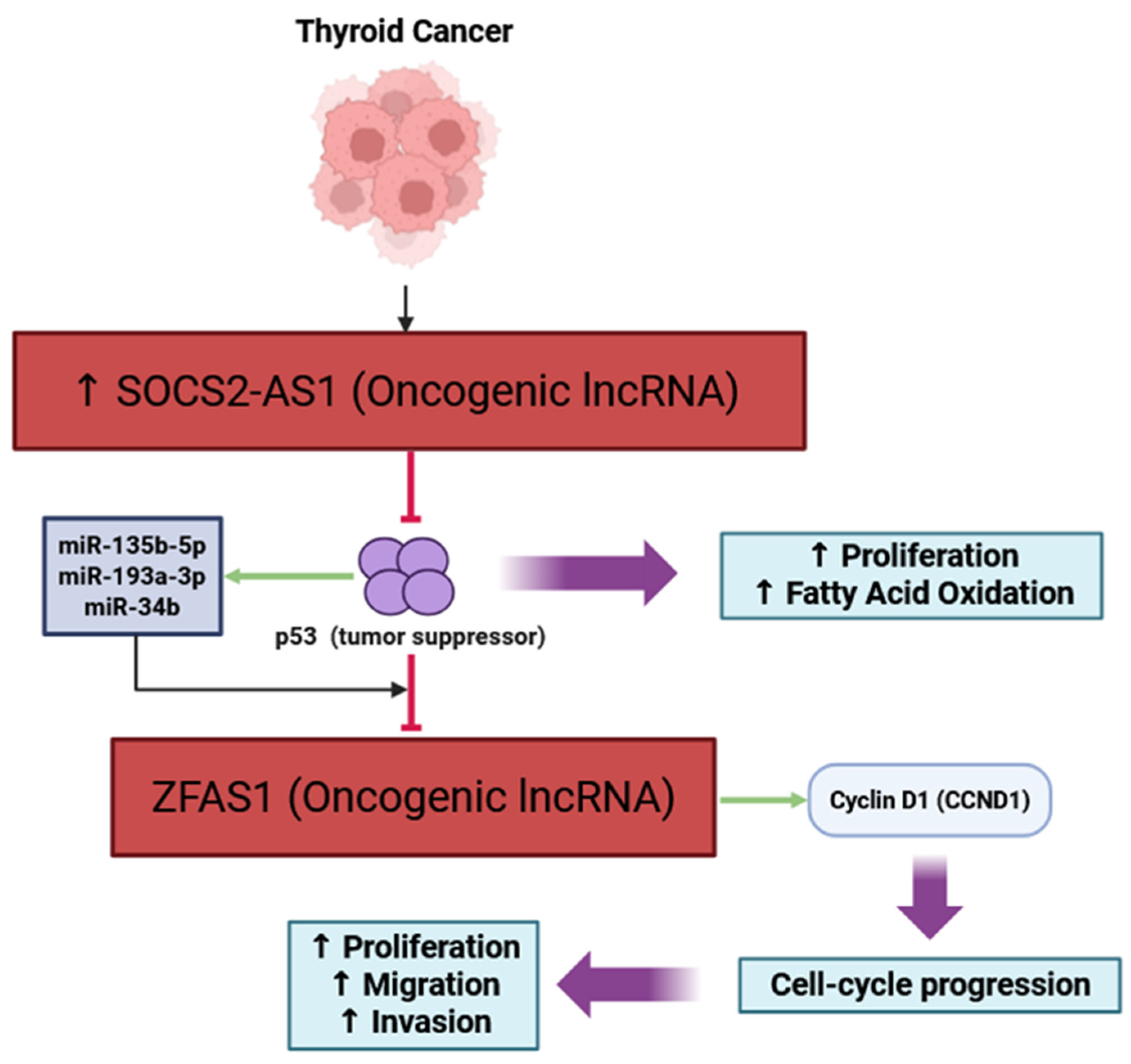 Cancers 17 03373 g002