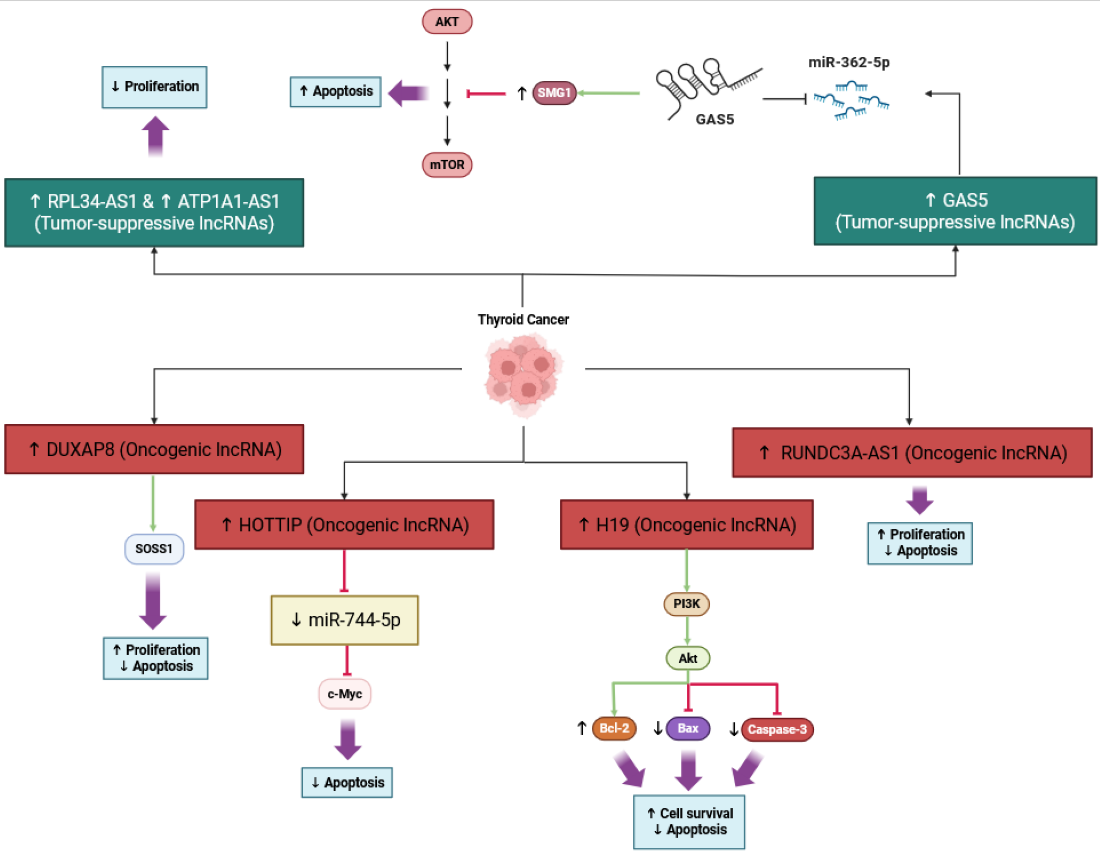 Cancers 17 03373 g003