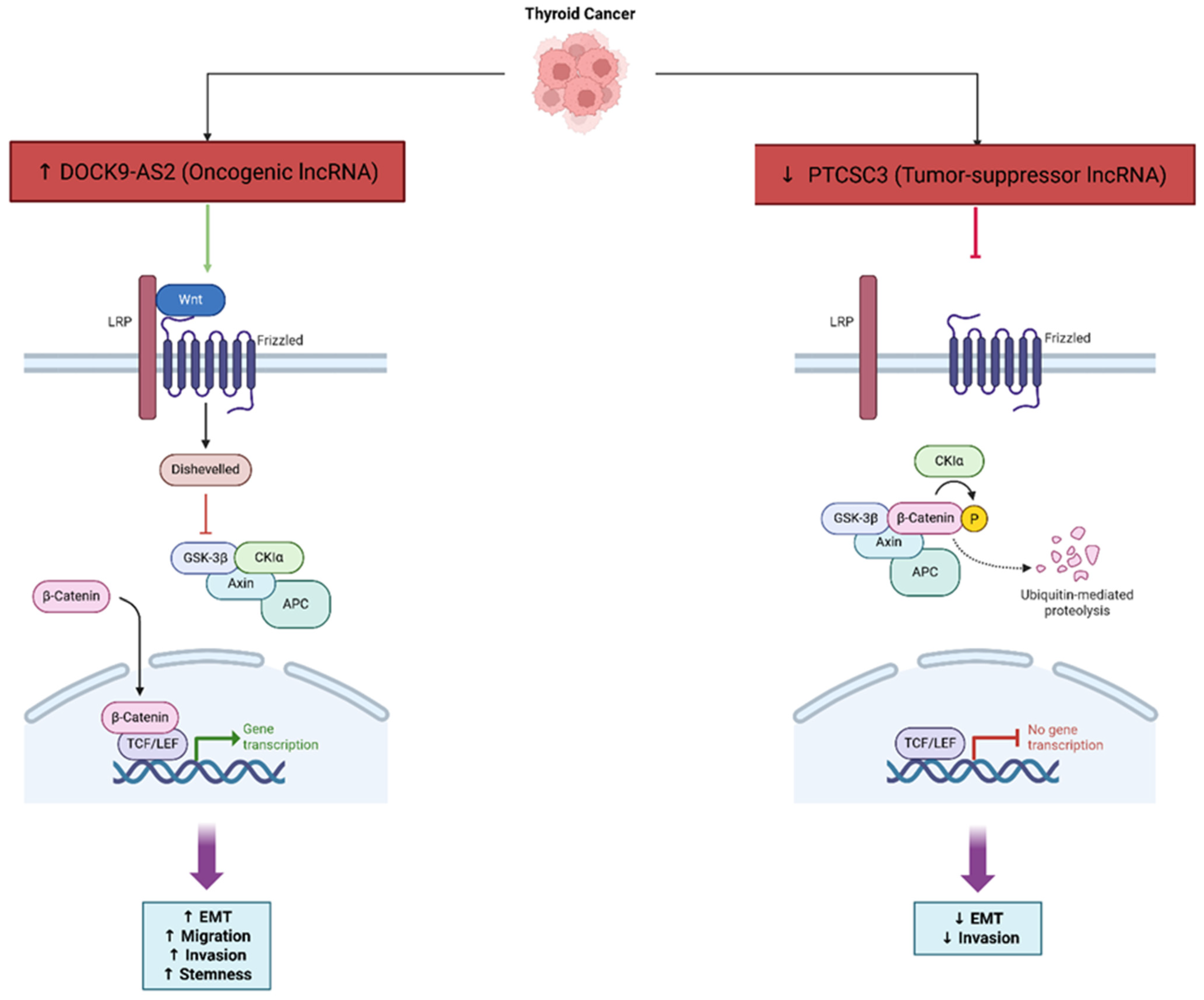 Cancers 17 03373 g006