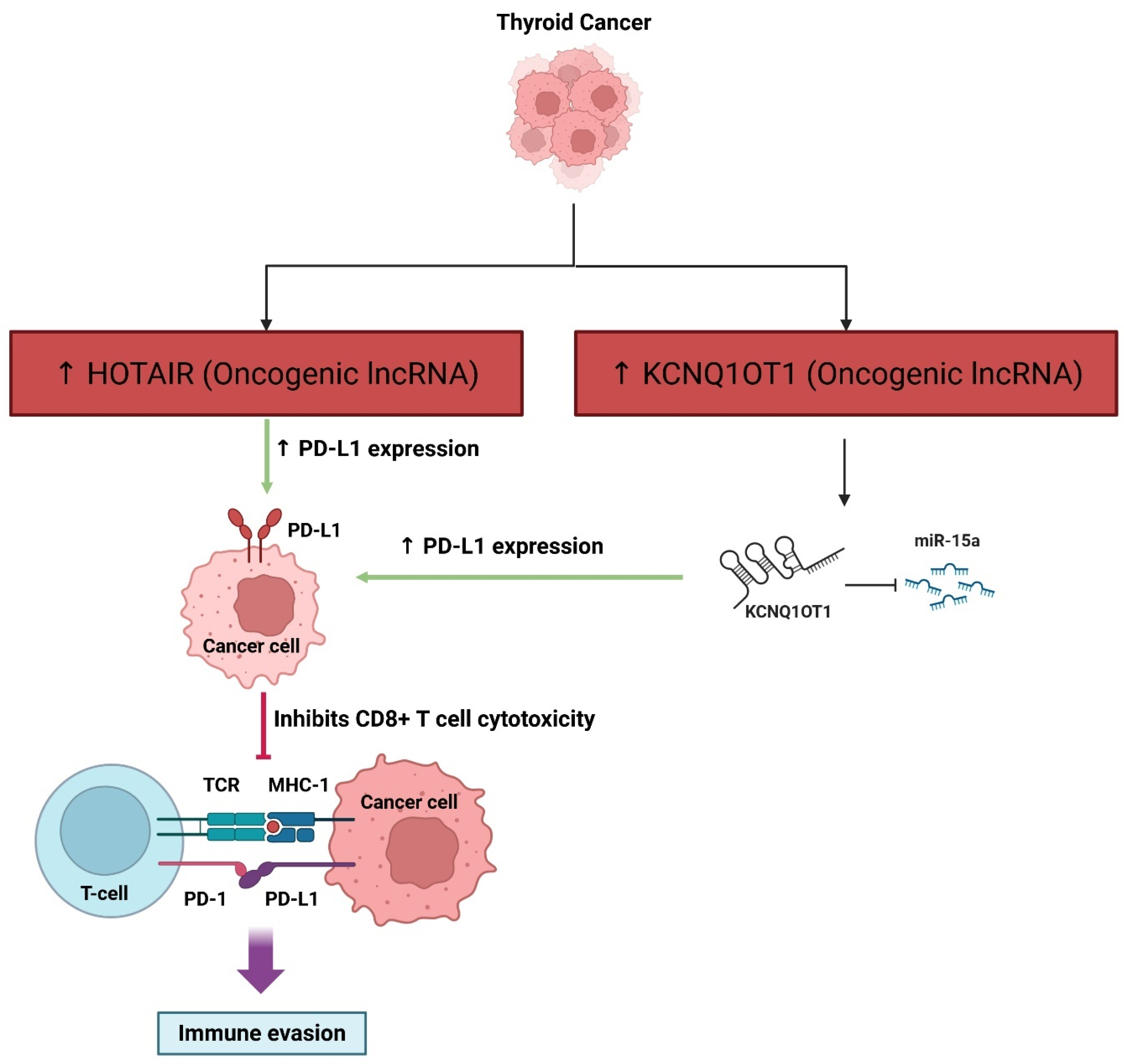 Cancers 17 03373 g008