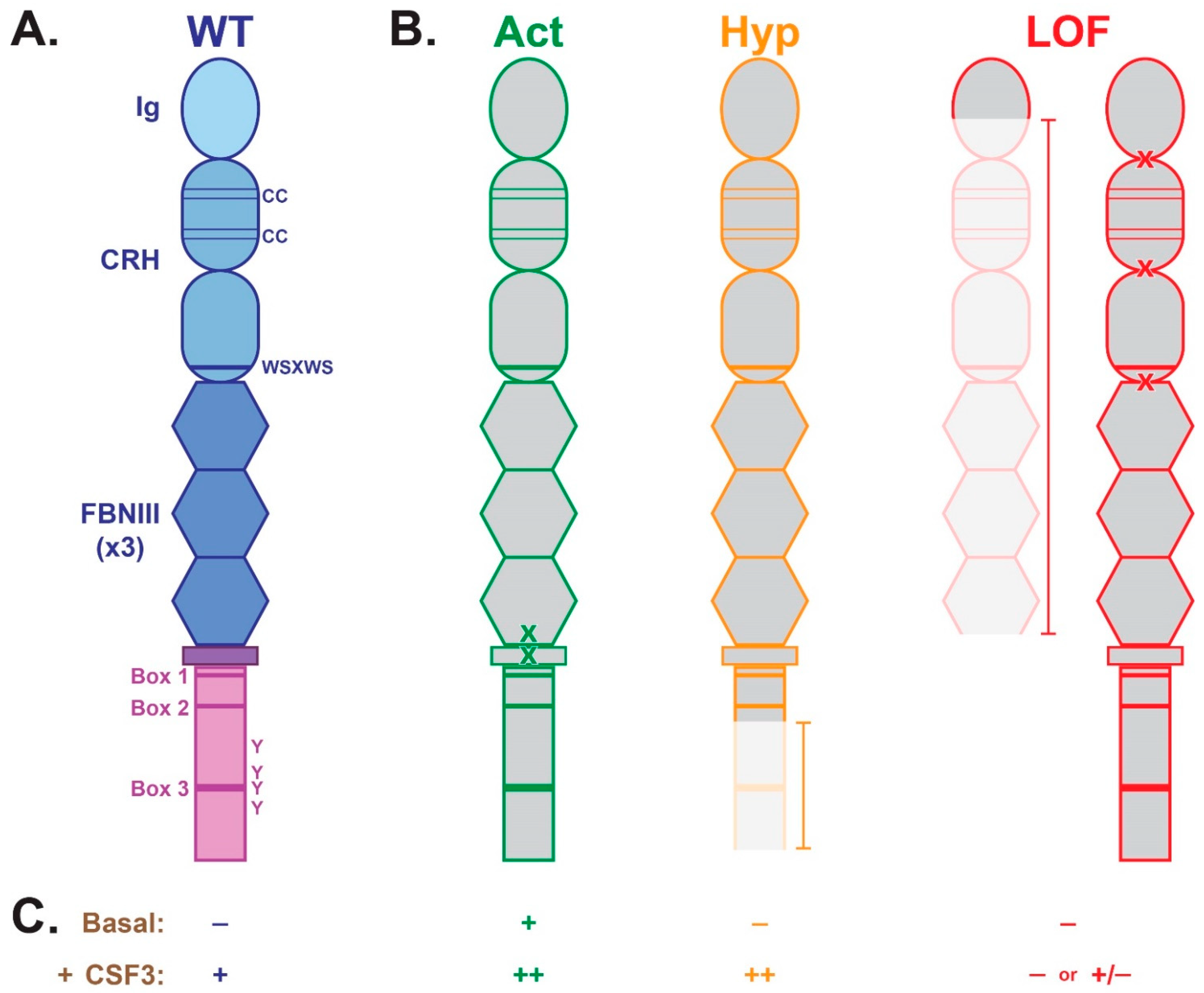 Cancers 17 03378 g001