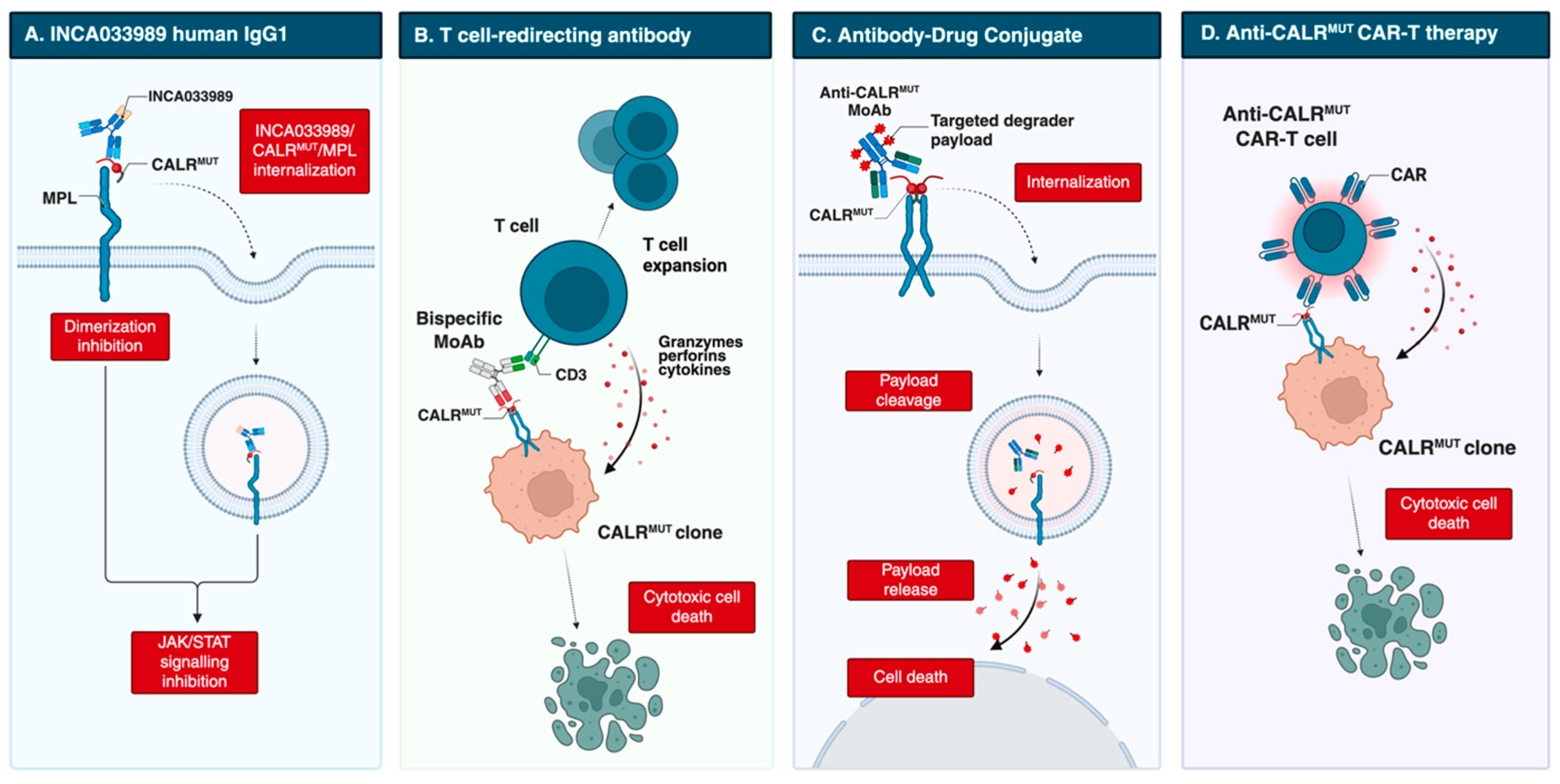 Cancers 17 03397 g002