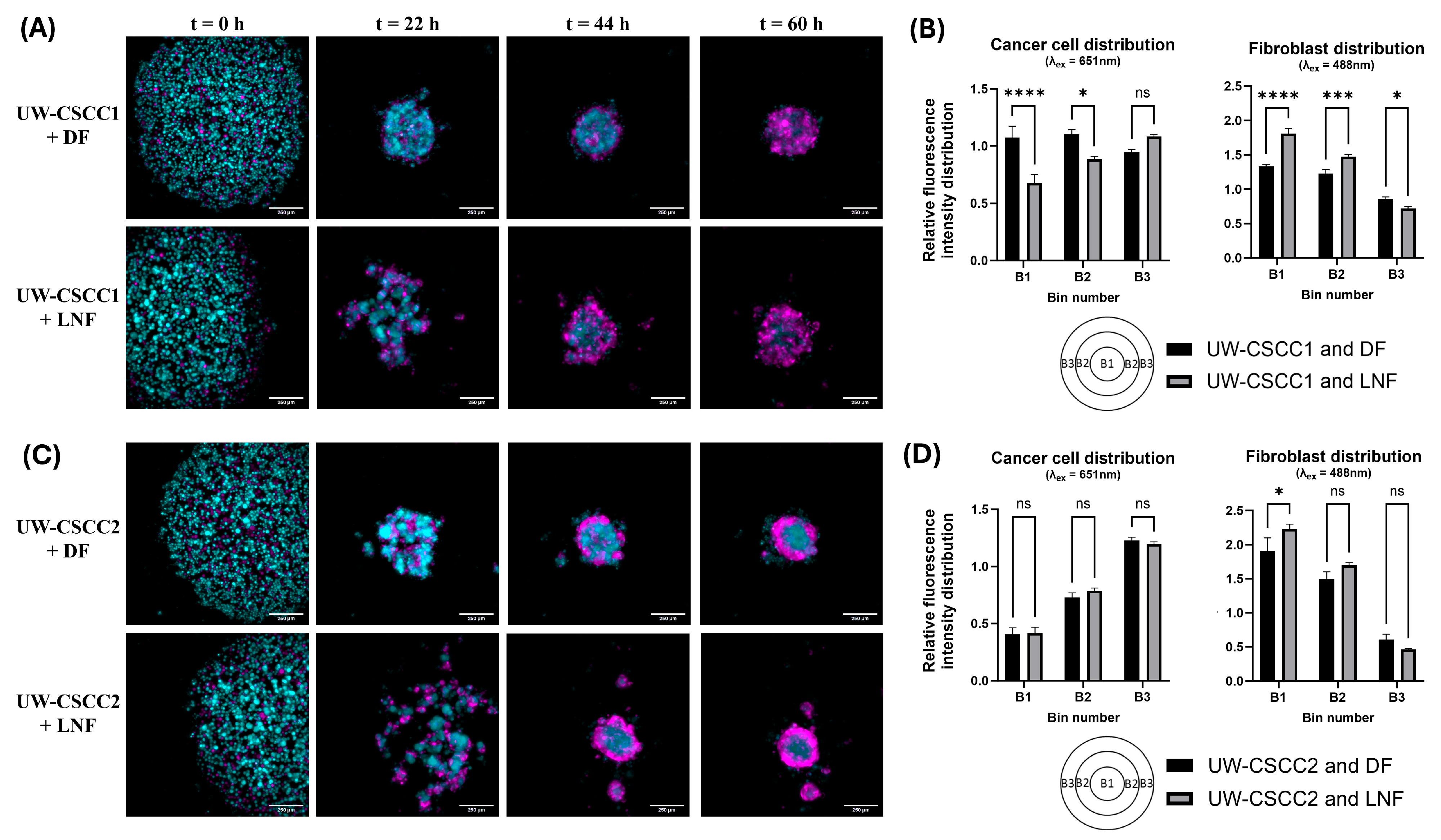 Cancers 17 03399 g002 Cancers 17 03399 g002