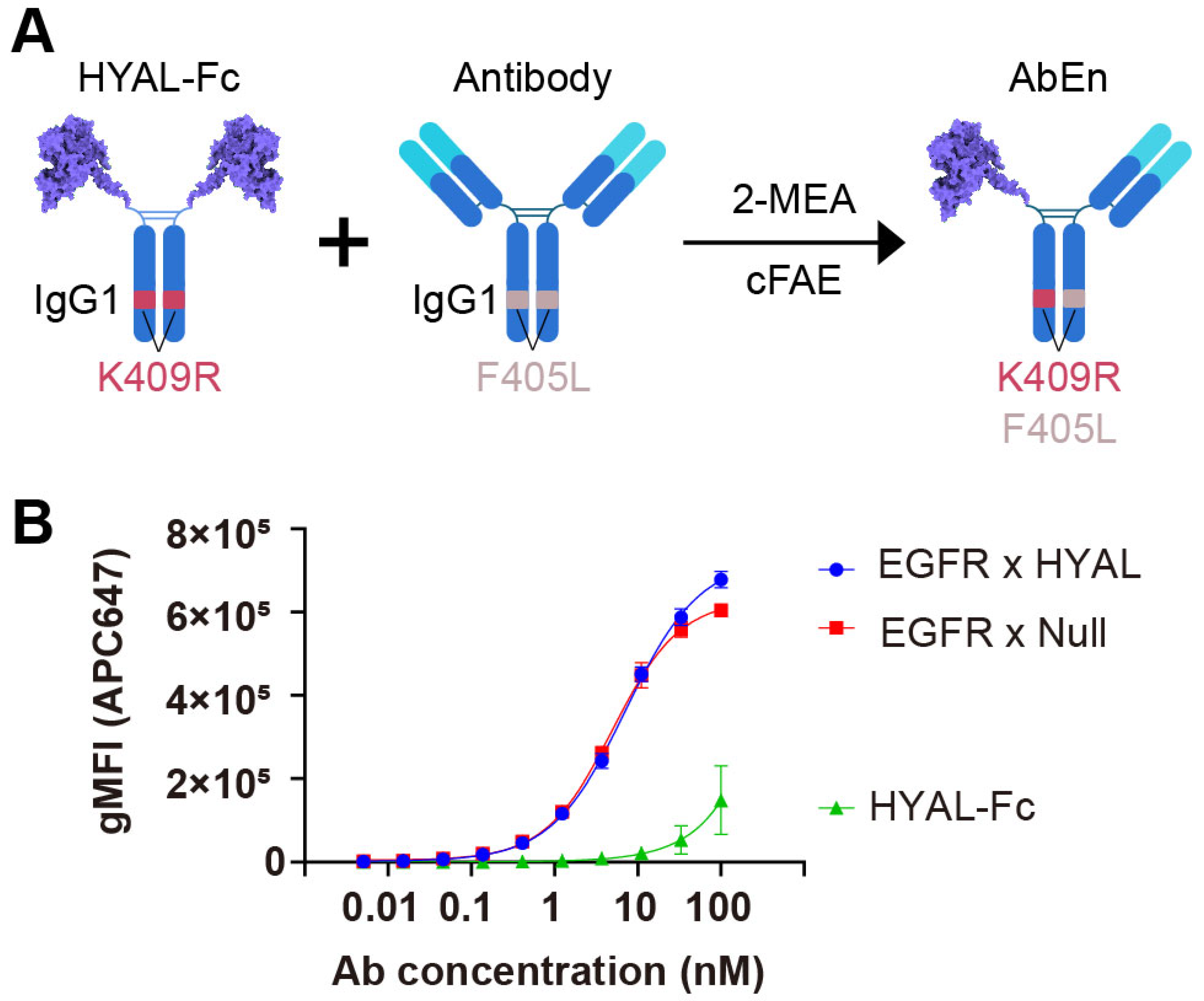 Cancers 17 03411 g001 Cancers 17 03411 g001