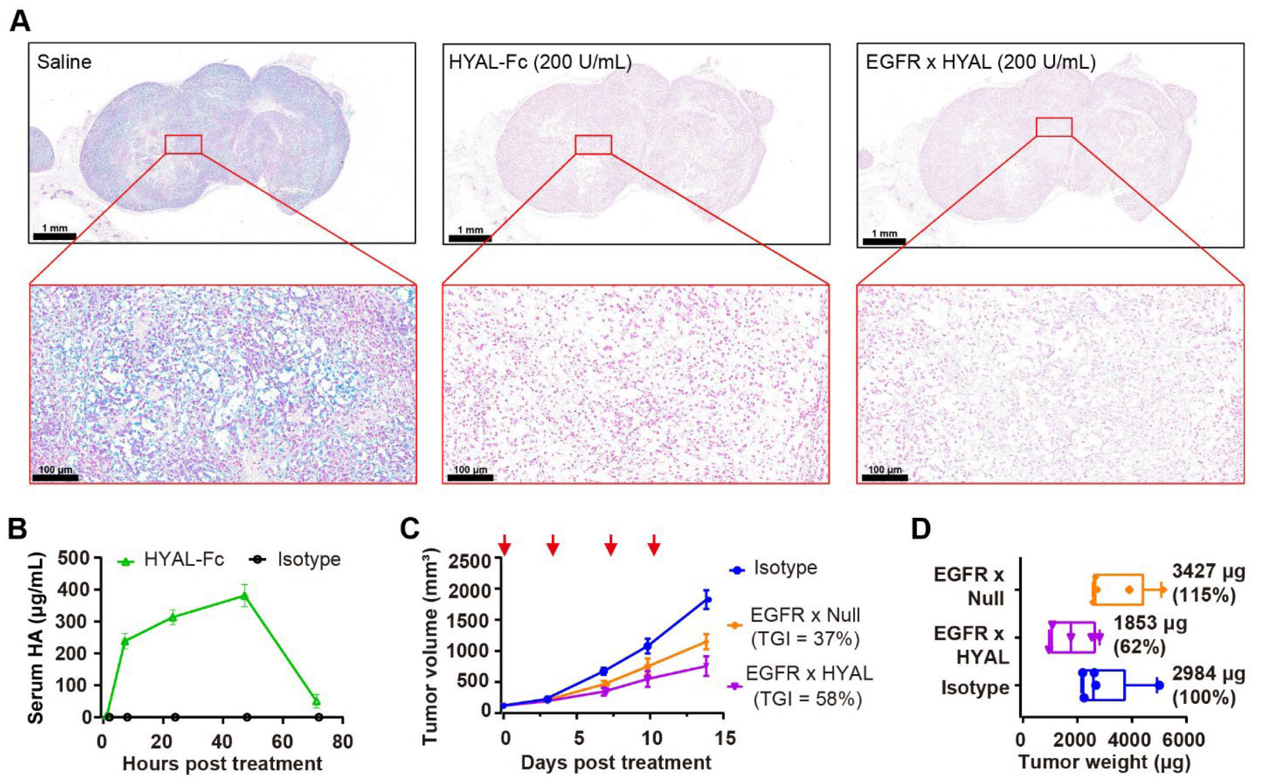 Cancers 17 03411 g002 Cancers 17 03411 g002