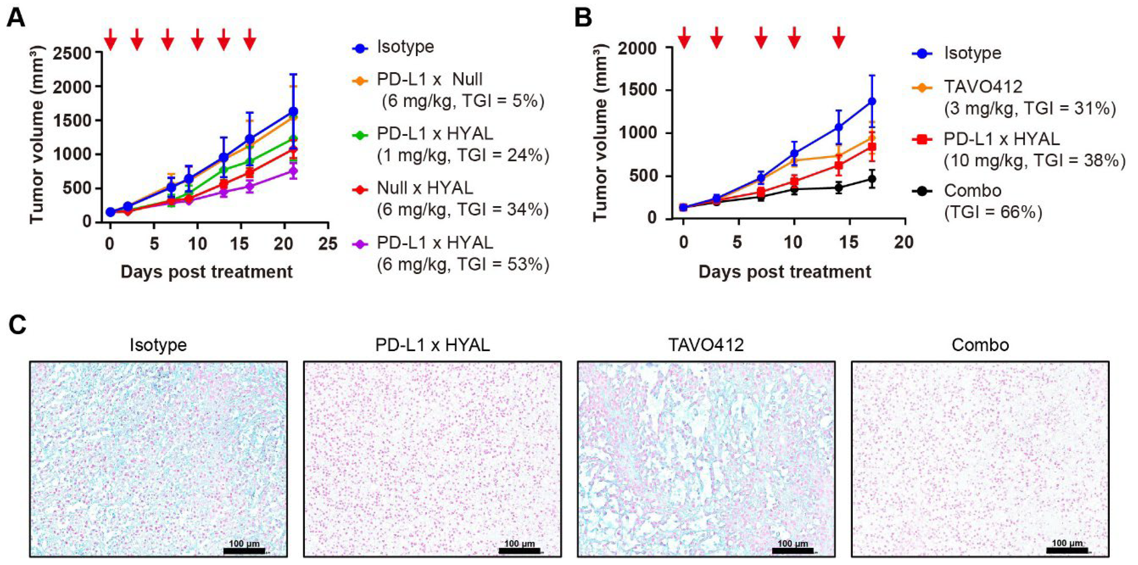Cancers 17 03411 g003 Cancers 17 03411 g003