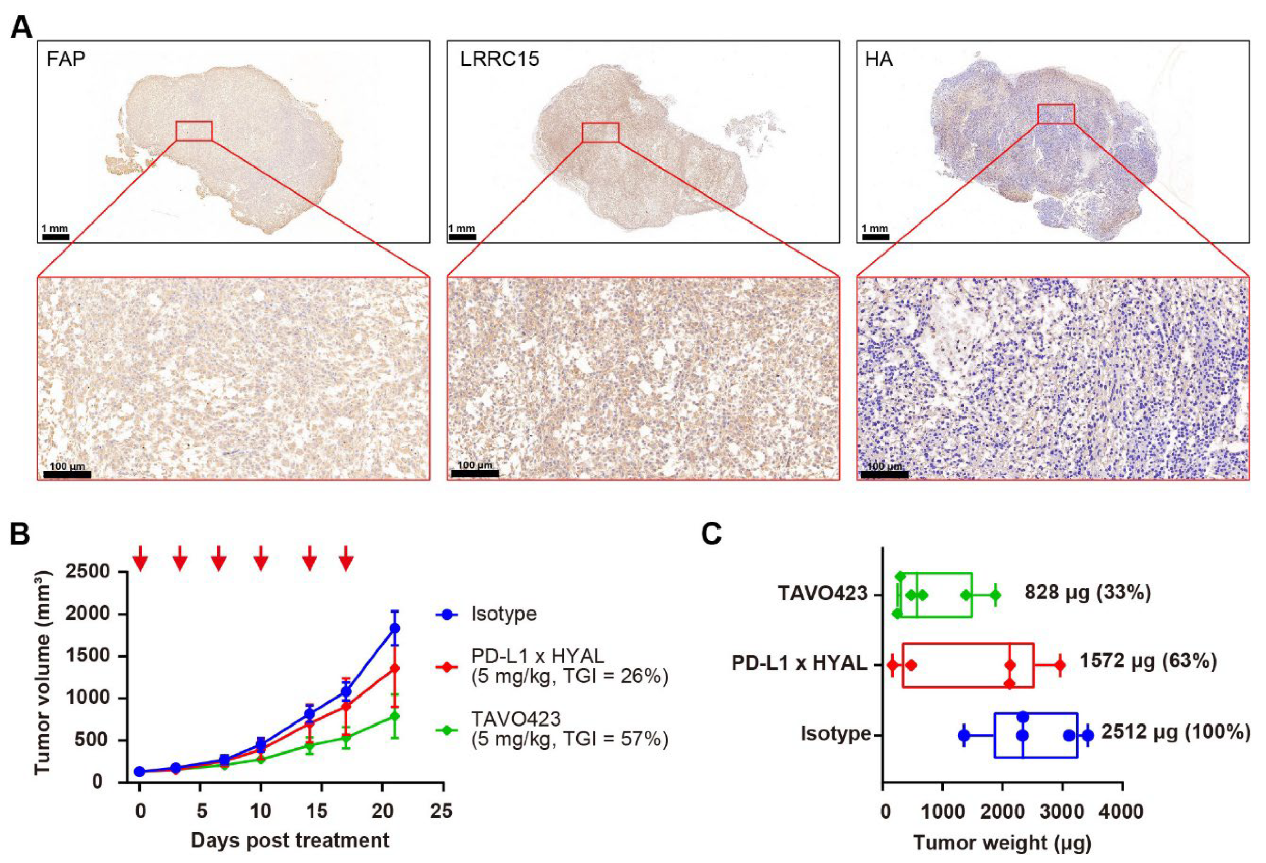 Cancers 17 03411 g004 Cancers 17 03411 g004