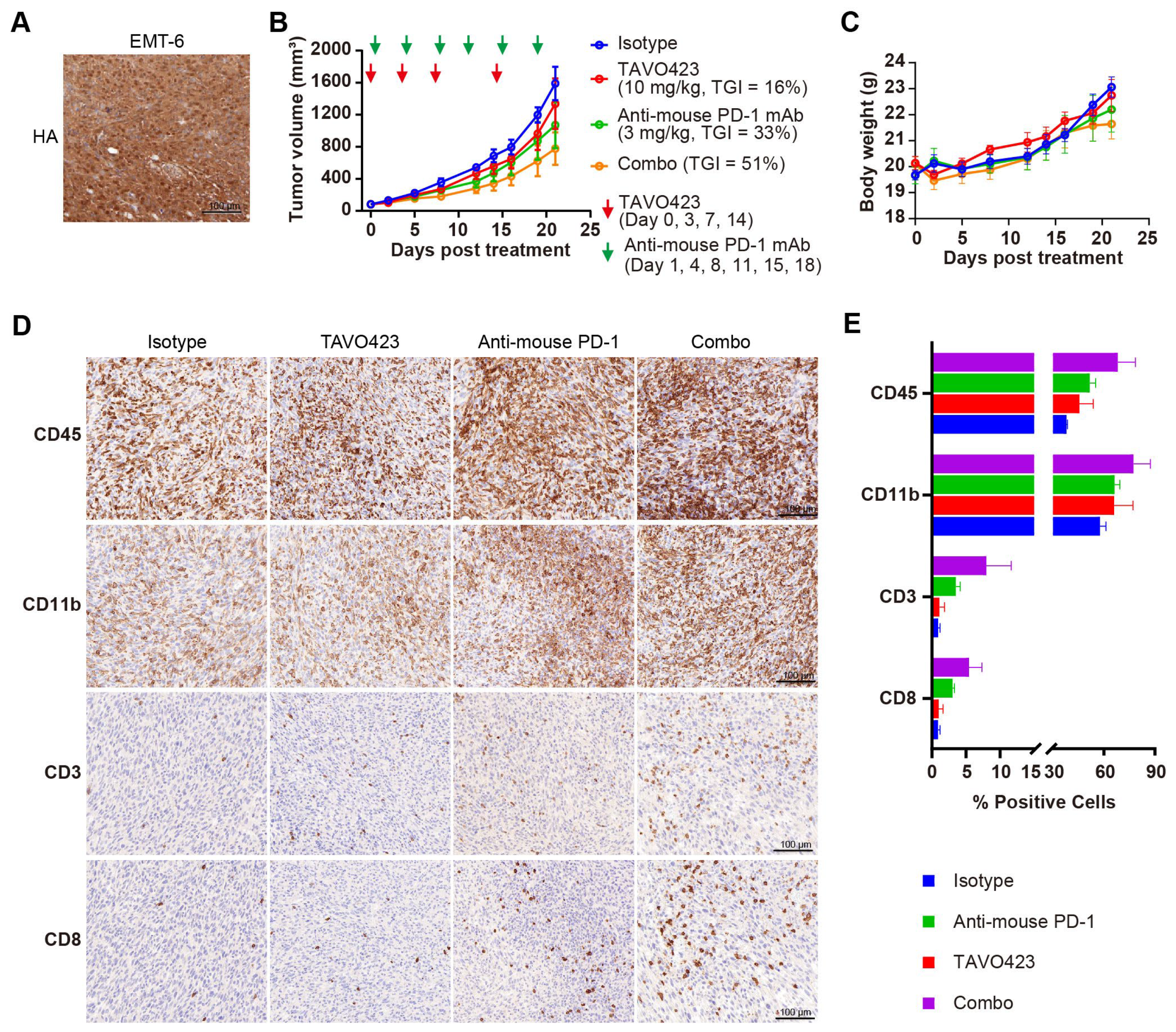 Cancers 17 03411 g006 Cancers 17 03411 g006