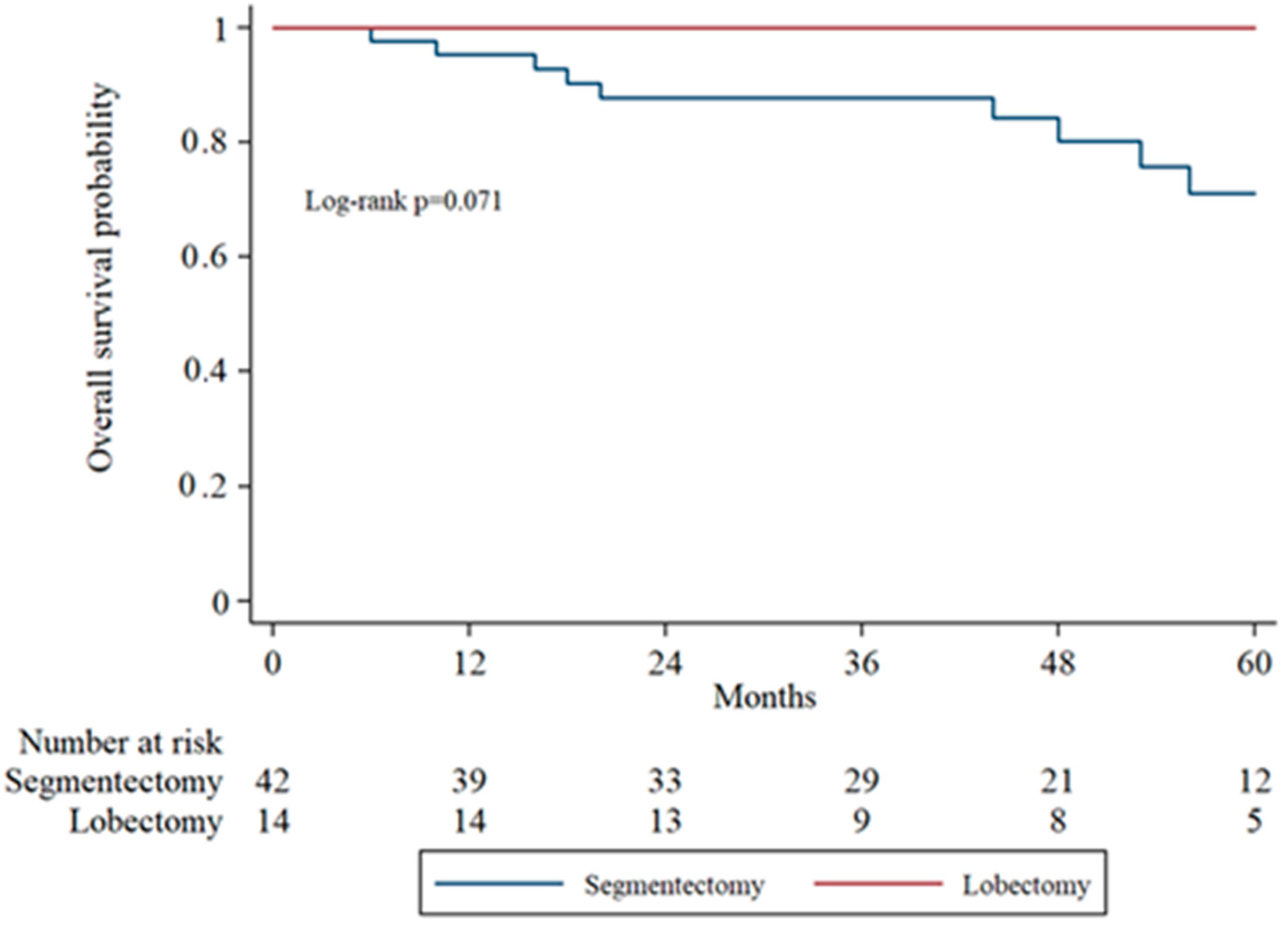 Cancers 17 03431 g002