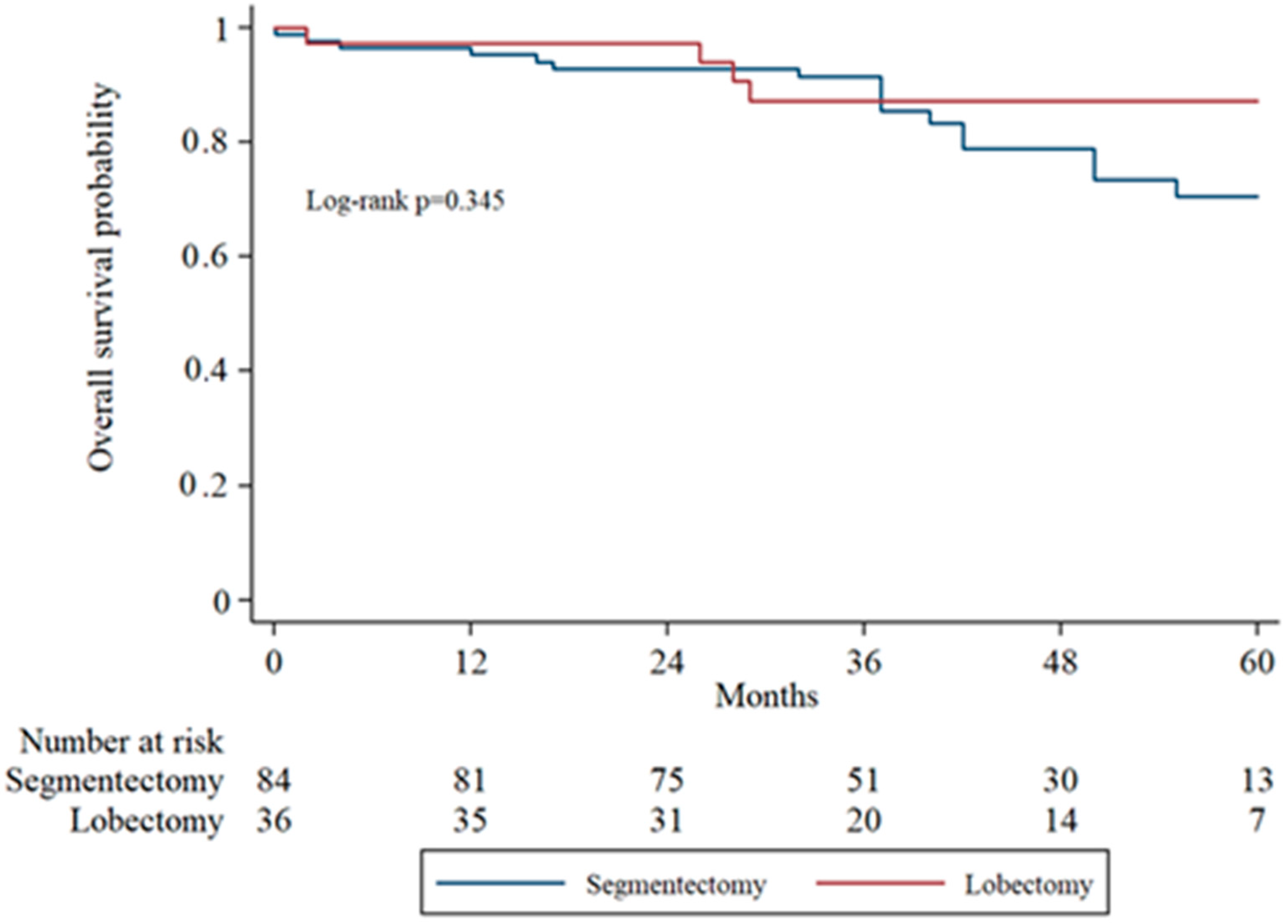 Cancers 17 03431 g003