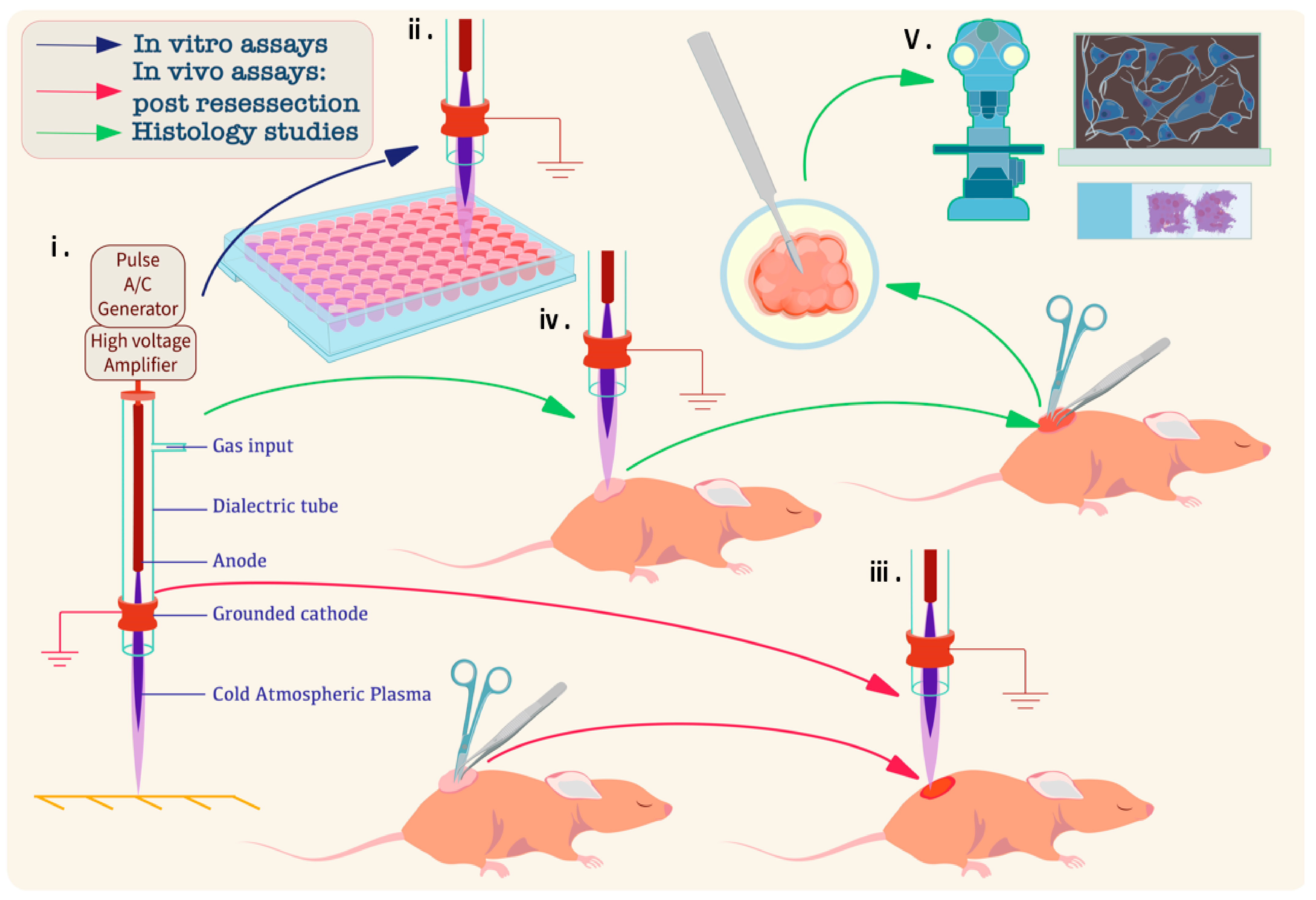 Cancers 17 03432 g002