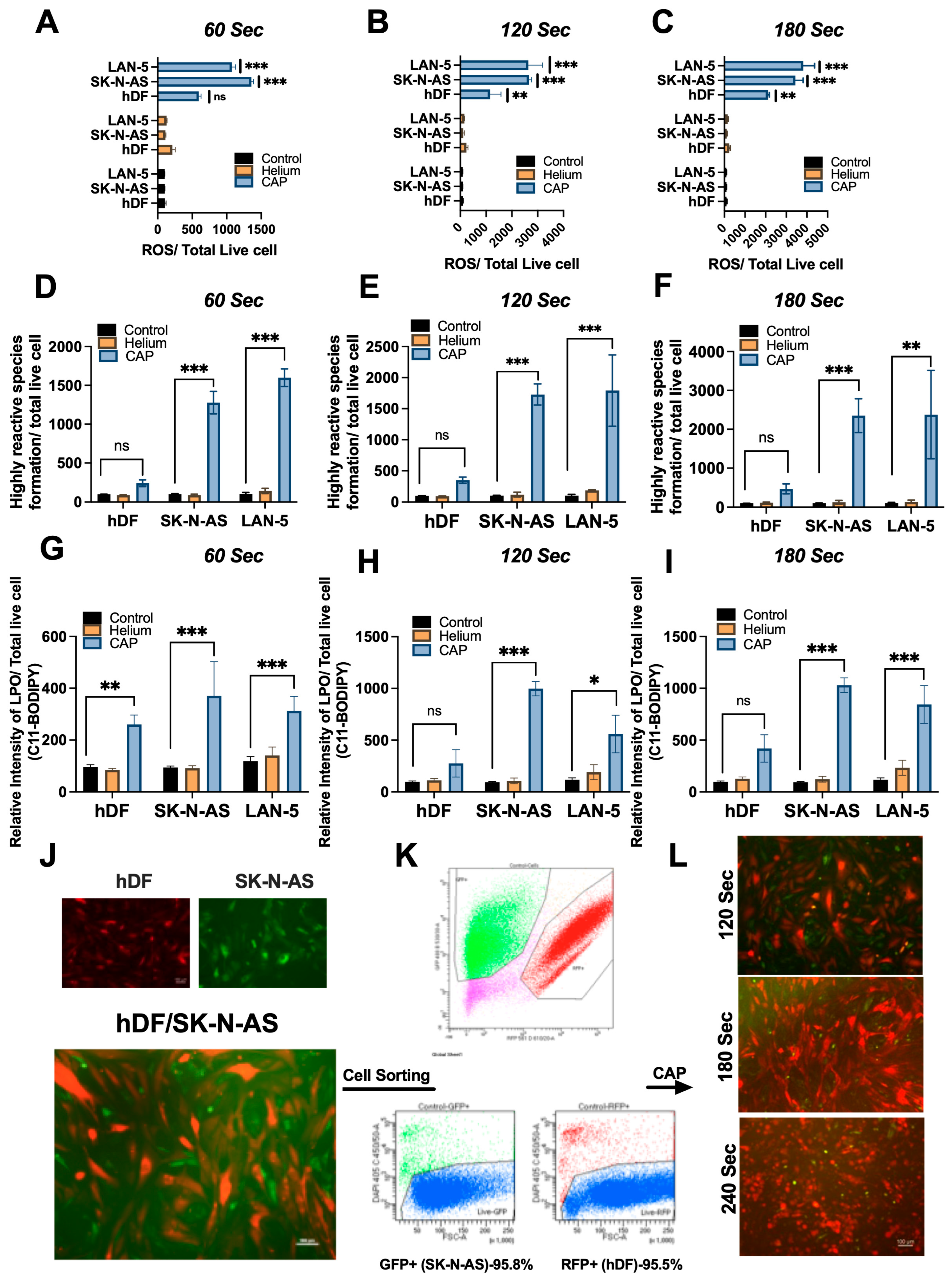 Cancers 17 03432 g004