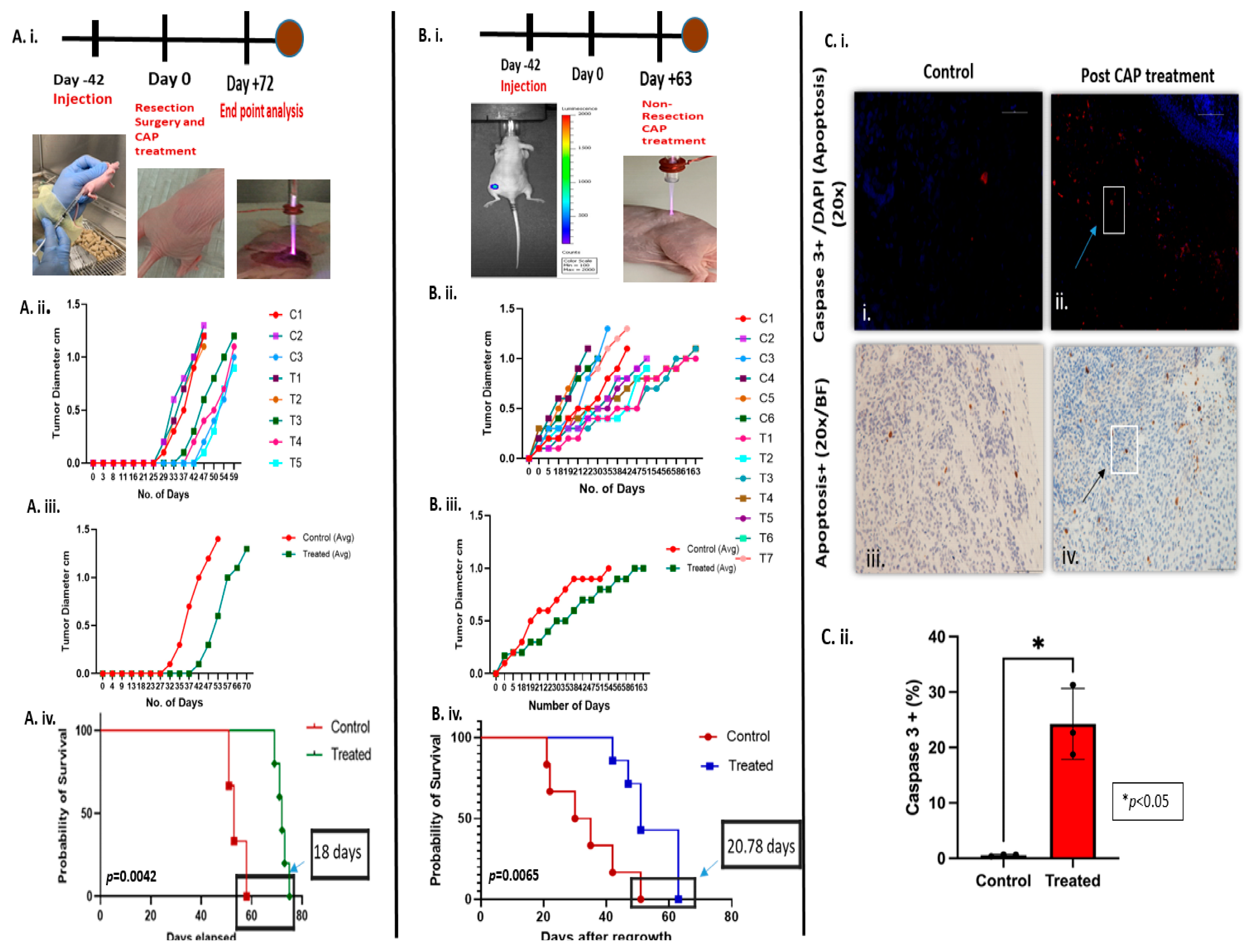 Cancers 17 03432 g008